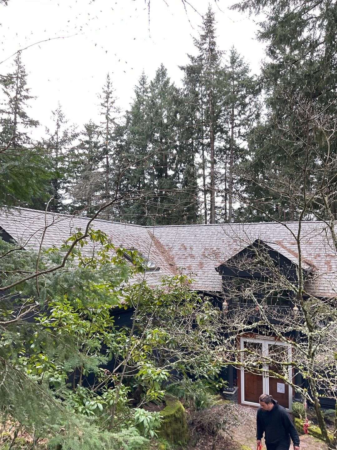 Roof Treatment using Surfactant and Biocide by Willamette Outdoor Wash LLC