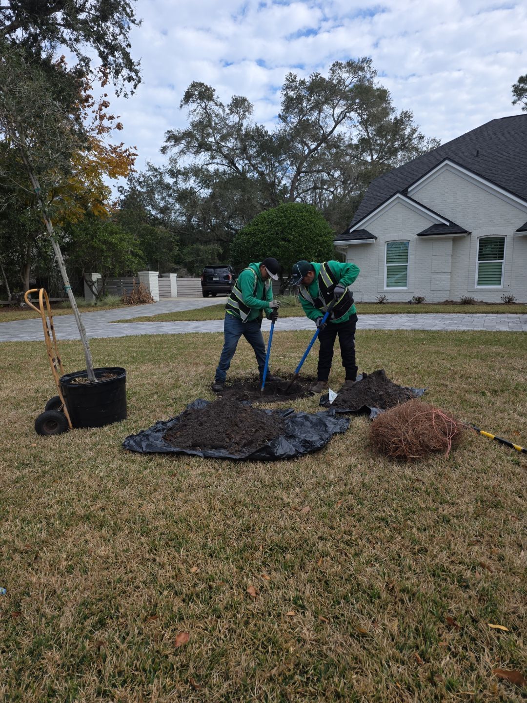 Deerwood Resident | Tree Install by ProGreen Services