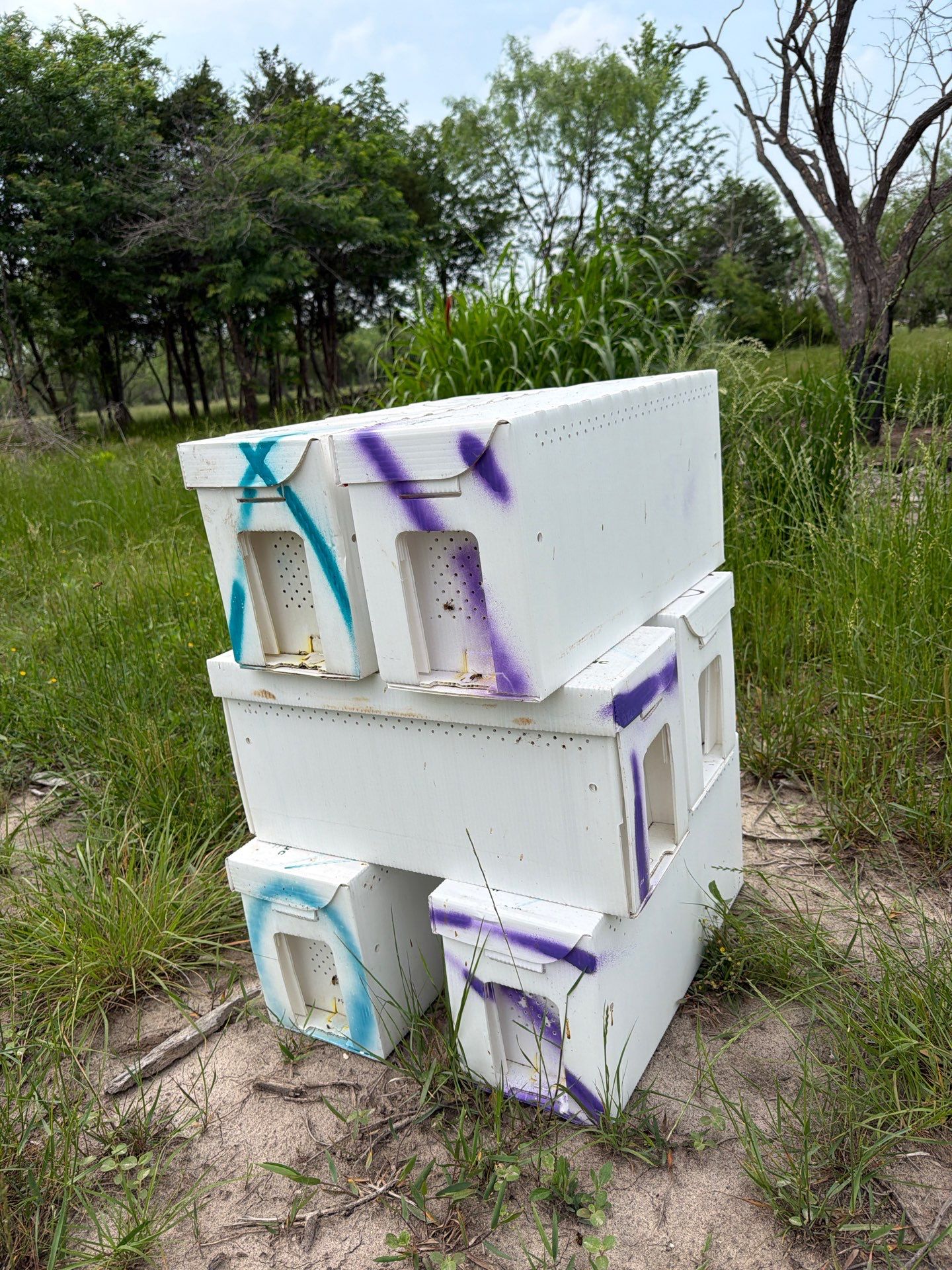 Exemption in Royse City, TX by Rockwall Honey Bee Company