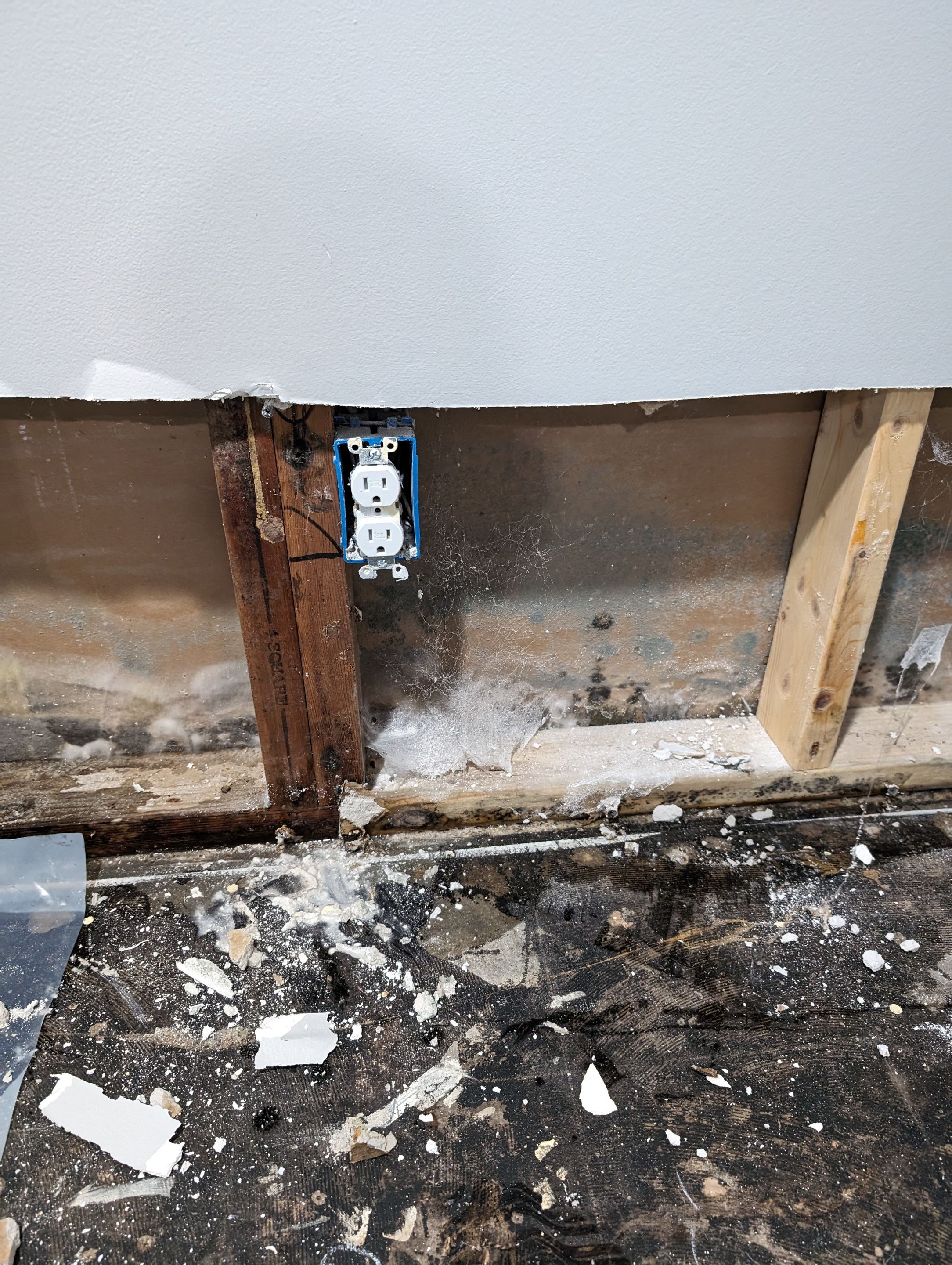 Mold Remediation in New Albany, IN by ANR Restoration