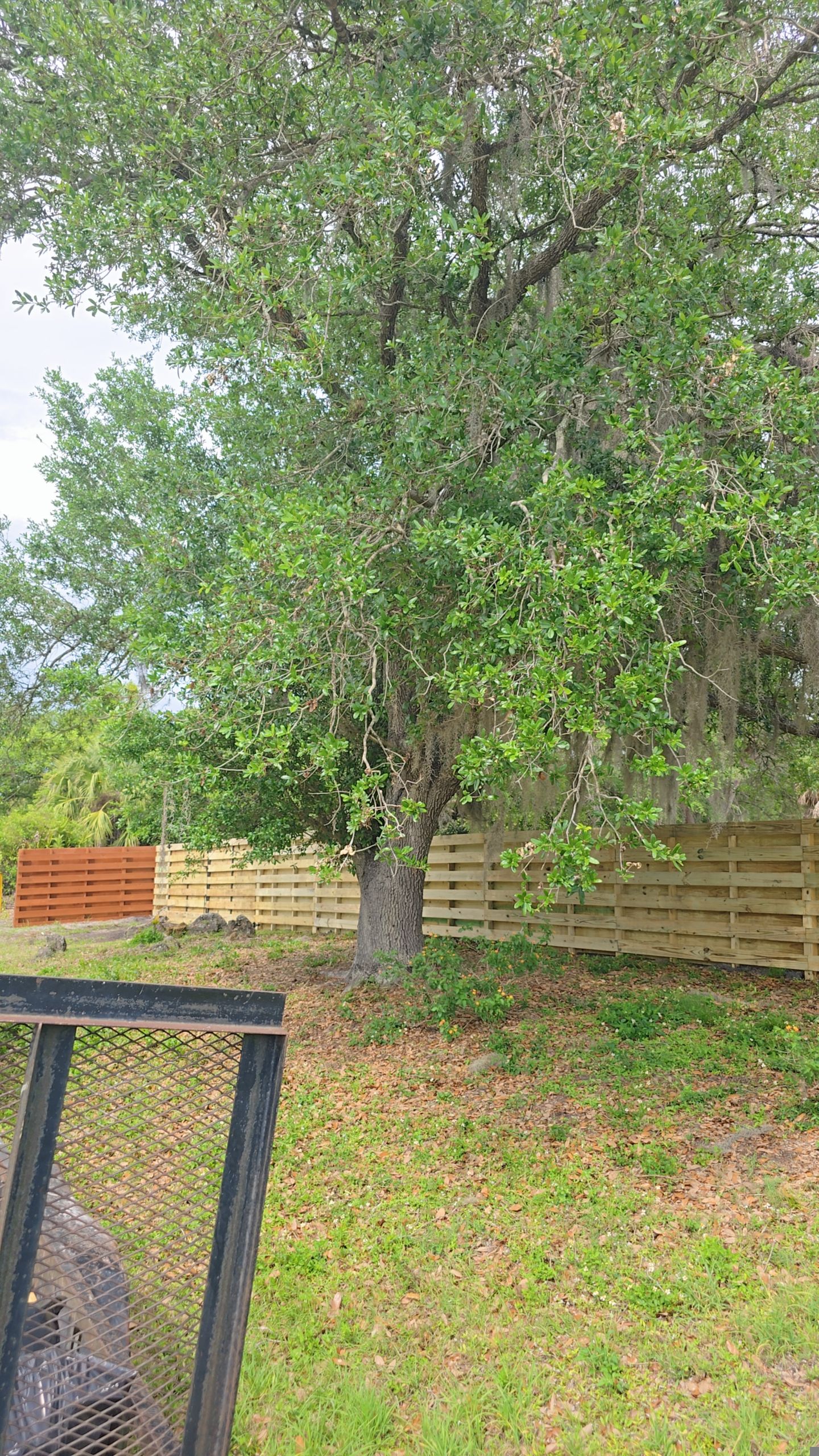 Horizontal Shadowbox Fence in Port Charlotte by True Fence LLC