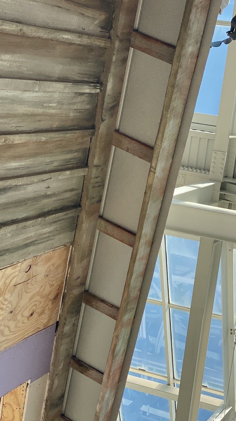 Gaylord Palms Old Hickory Restaurant by Fiddlers Roofing