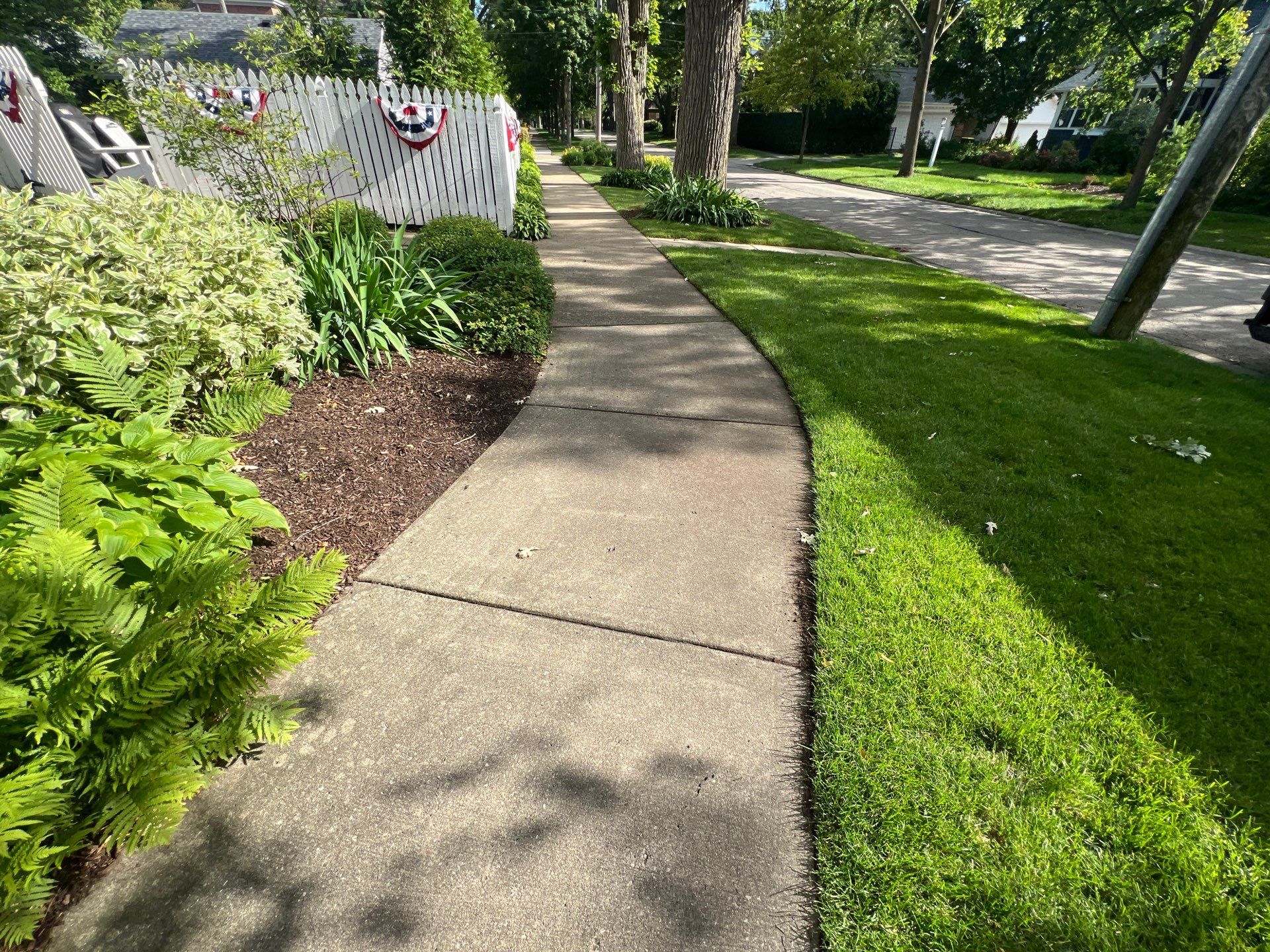 concrete cleaning using Algaecide, soft wash soap by Northern Power Washing LLC.