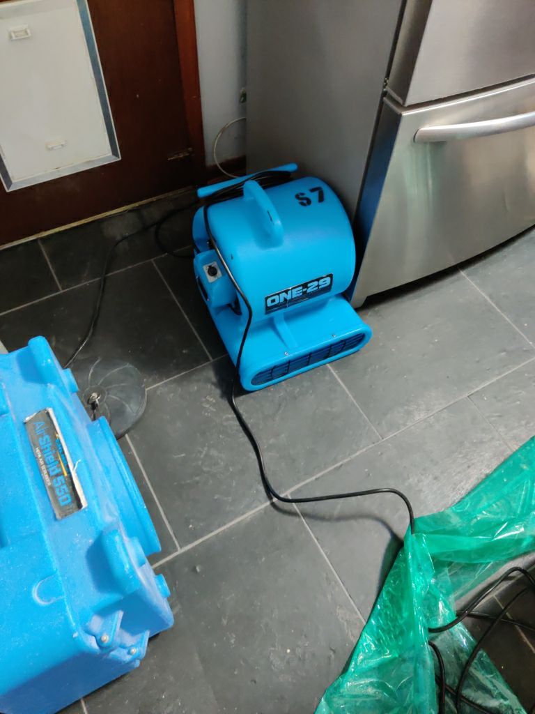 Mold Remediation using Containment by Accountable Home Services