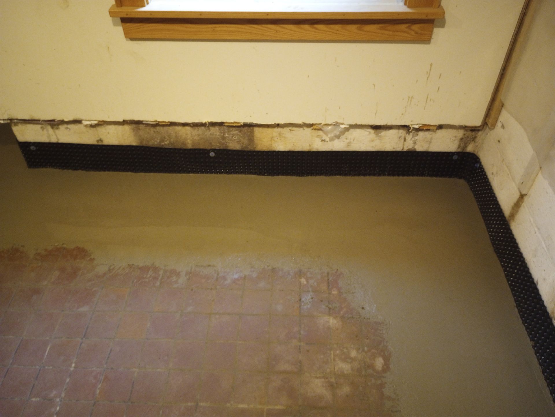 Clear Communication & Smart Solutions for Jose by Waterproofing Northeast