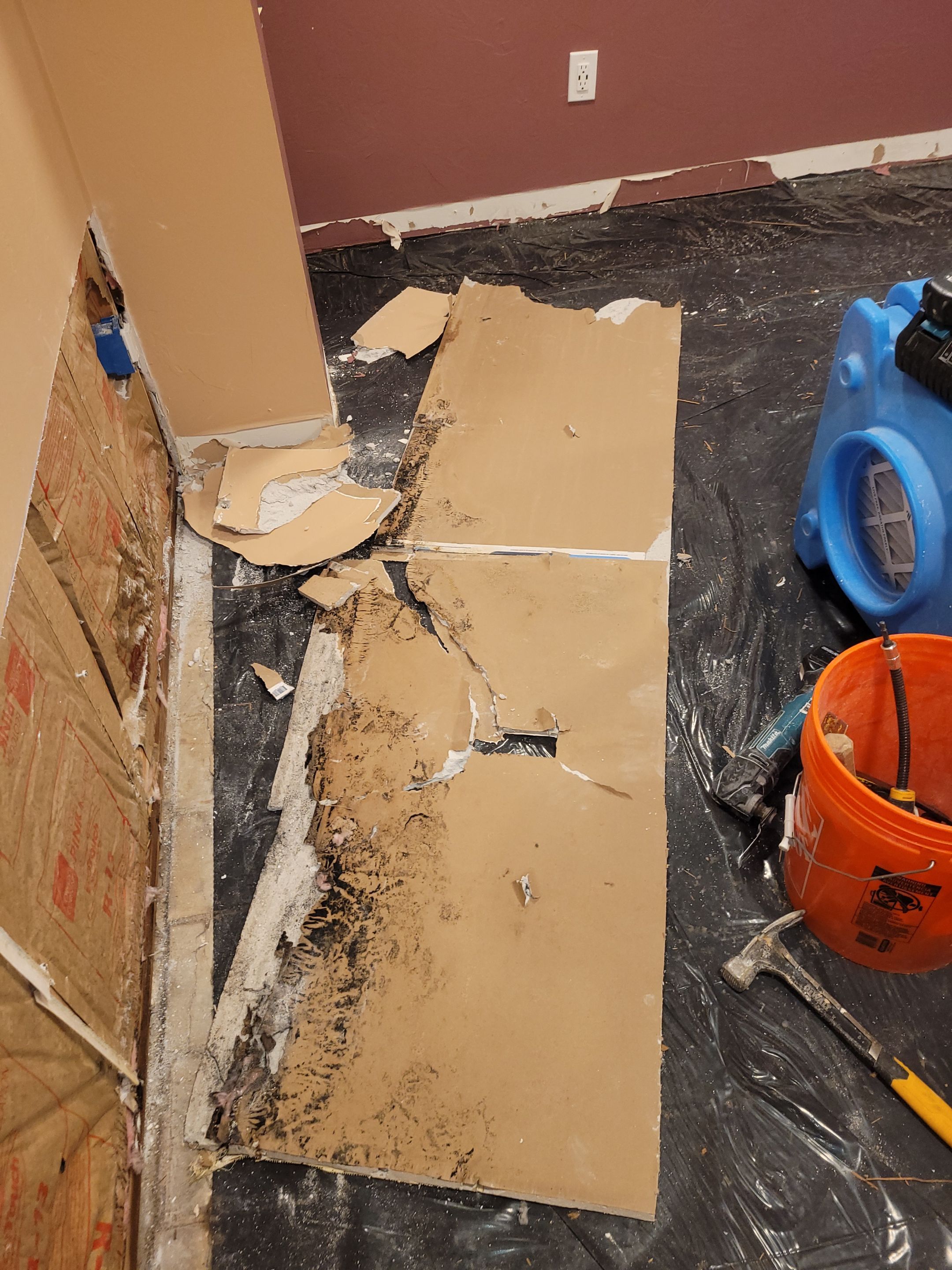 Water Damage and Mold Remediation by Accountable Home Services