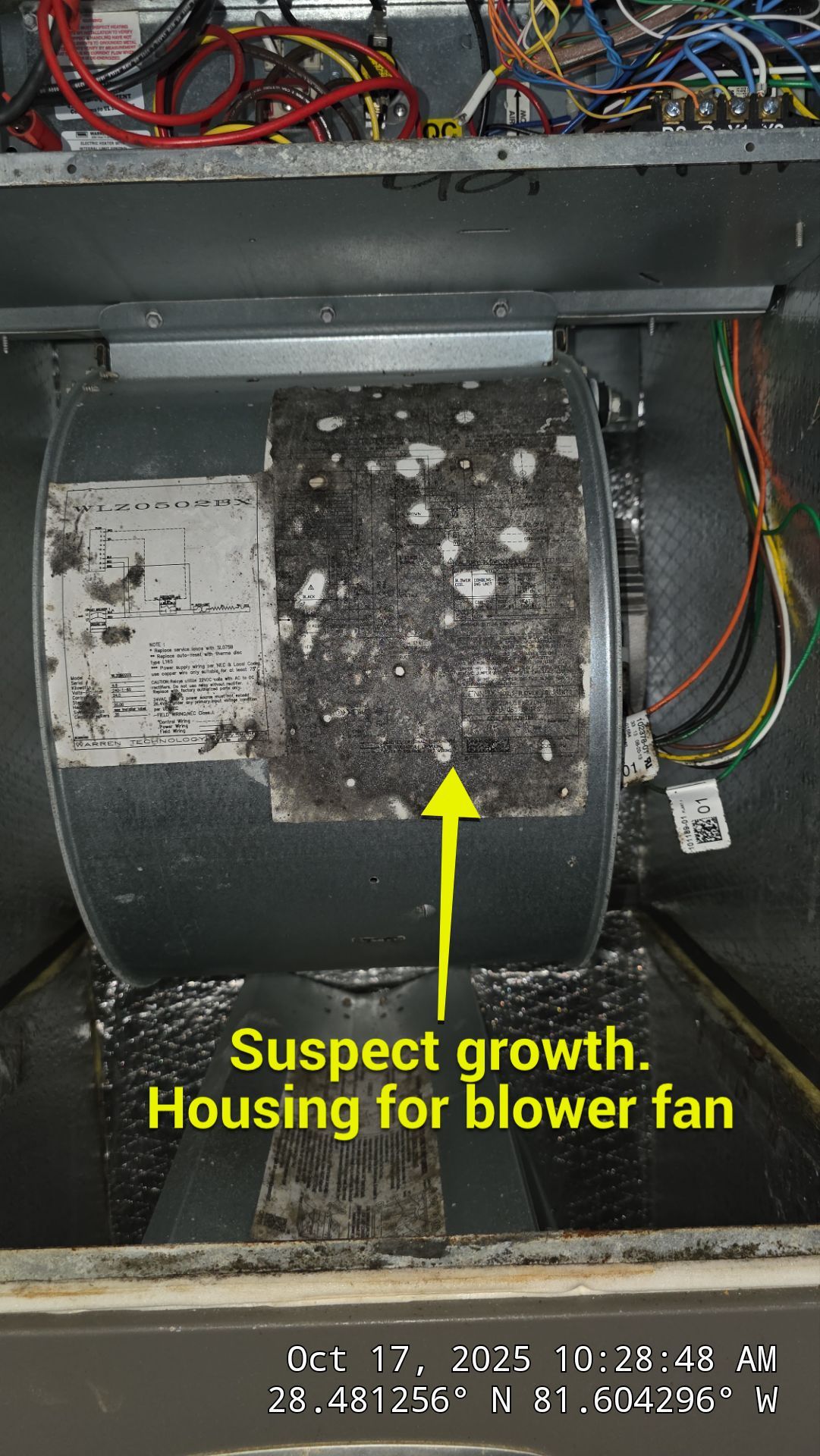 AIr Duct and Dryer Vent Cleaning in WInter Garden by Hygienic Air, Inc