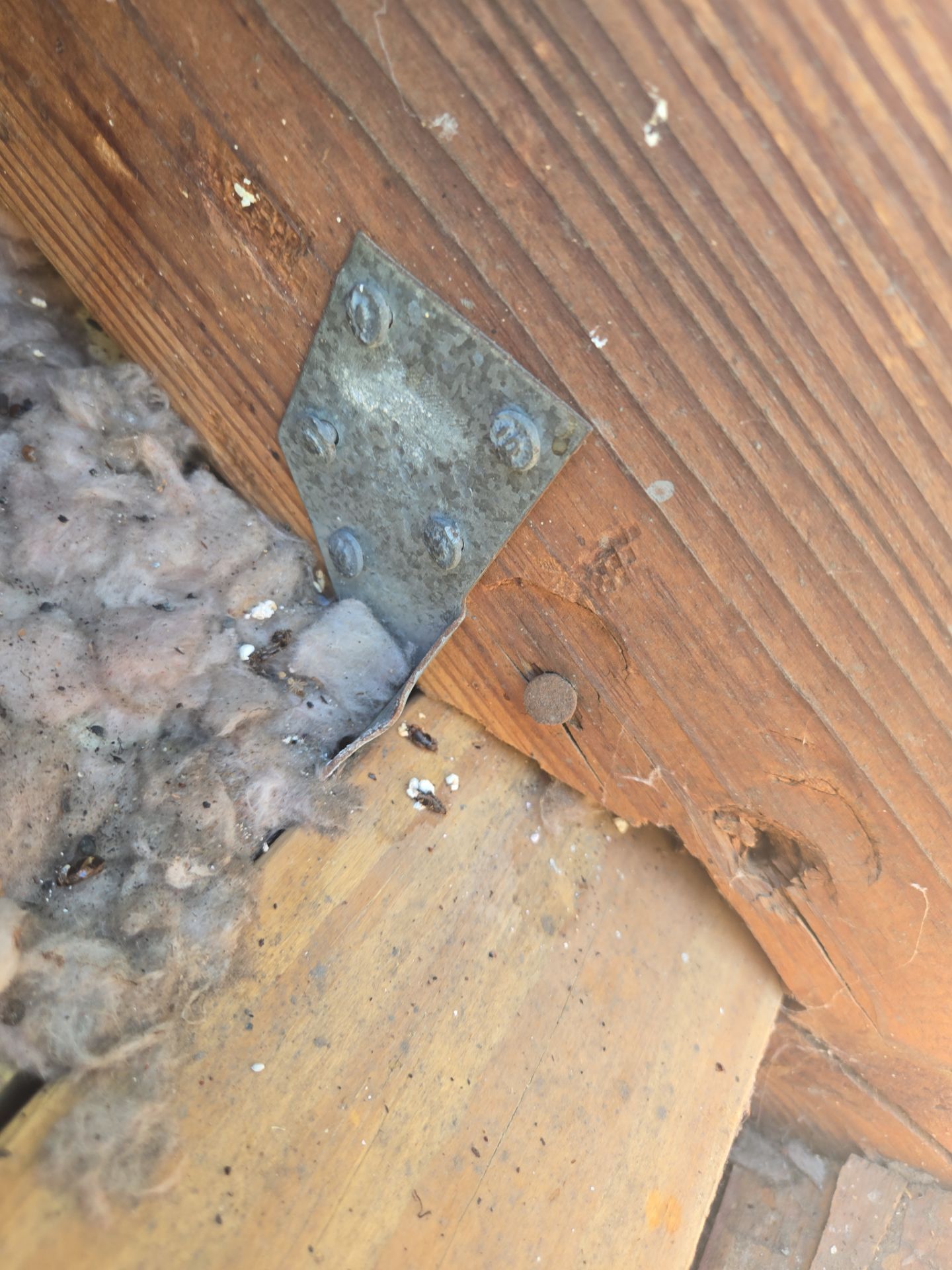 Project in St. Petersburg 33705 by Mitchell Roofing Company LLC 