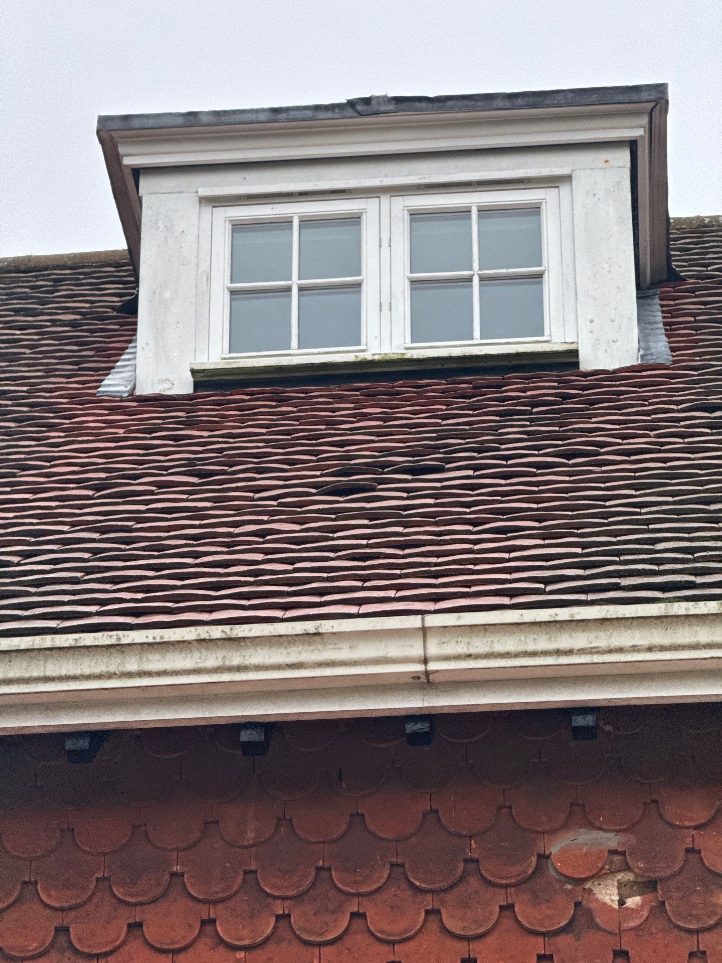 Roof Clean  - Moss Removal - Gutter Clean using Honda 15lpm Low Pressure Washing Machine by Ges Exterior Cleaning ltd