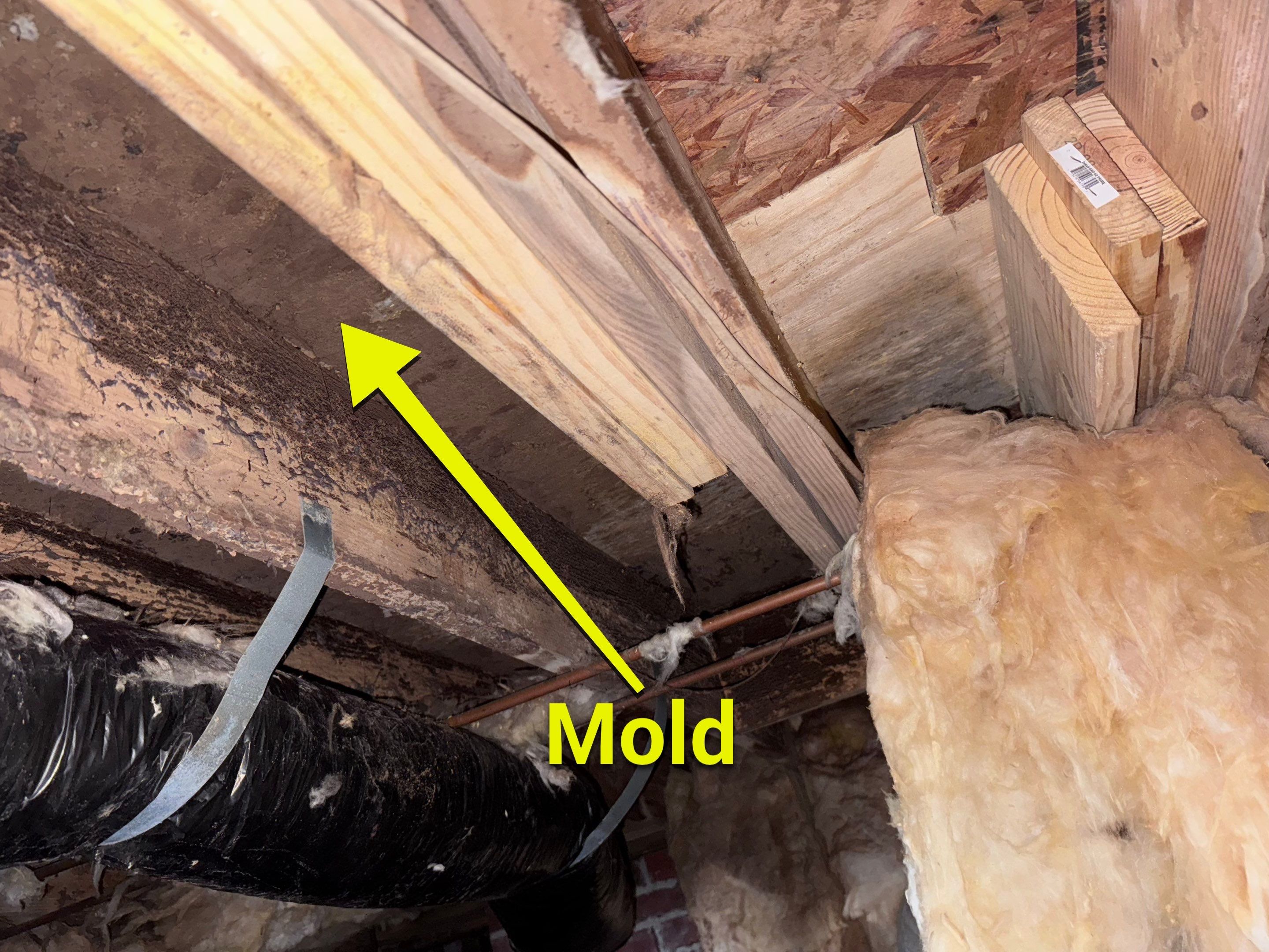 Structural Repairs inludiing sub-floor removal, new floor joists installed, girder replacmeent and dropped girder installed. by Impact Crawlspace