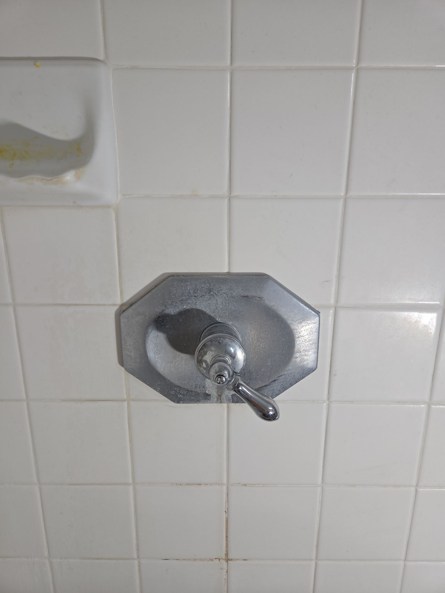 Shiny New Shower Valve by Professional Plumbing Inc 