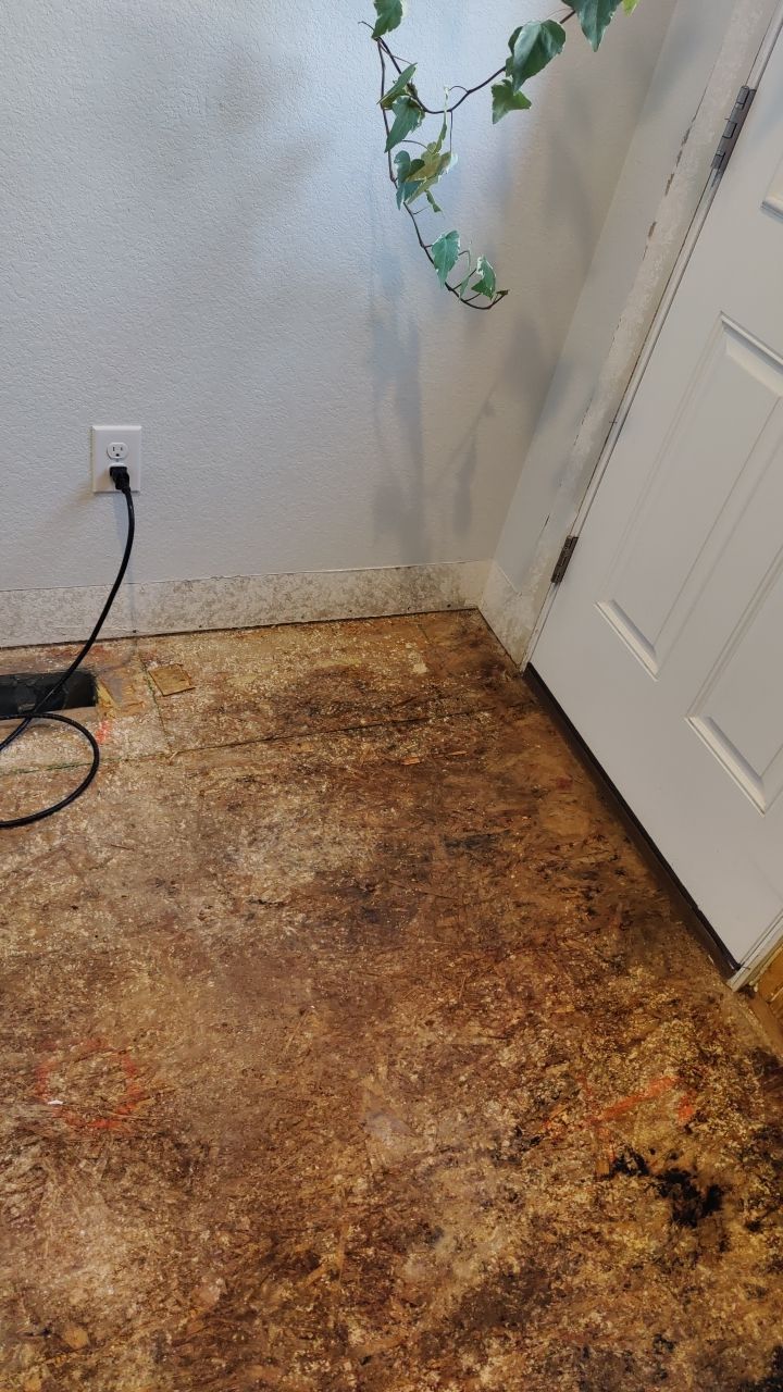 Mold Remediation  by Accountable Home Services