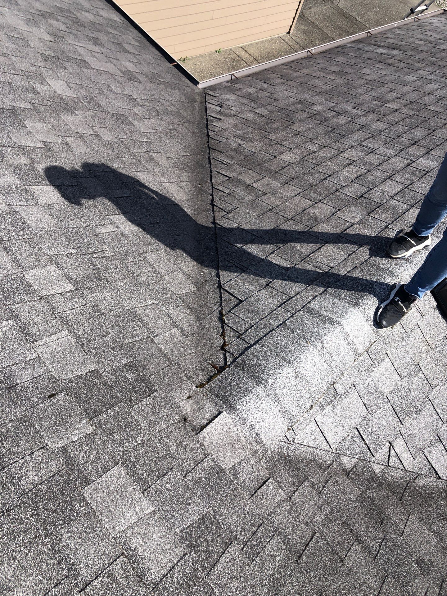 Project in Arlington by Connolly Construction Company