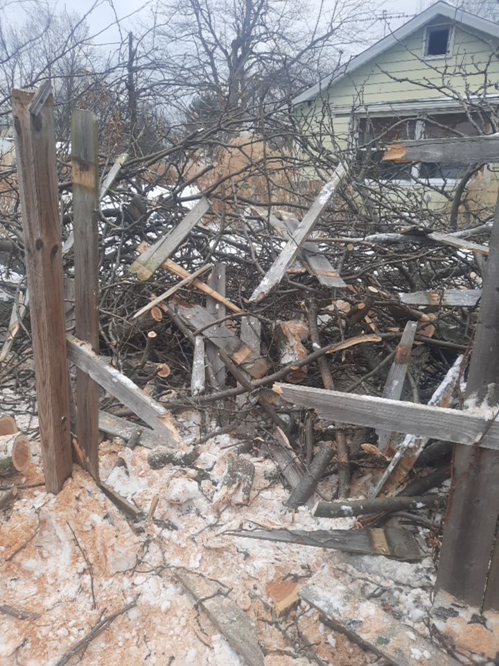 Storm Damaged Tree Removal  using Tree Removal by Mike Jones & Sons Tree Service LLC 