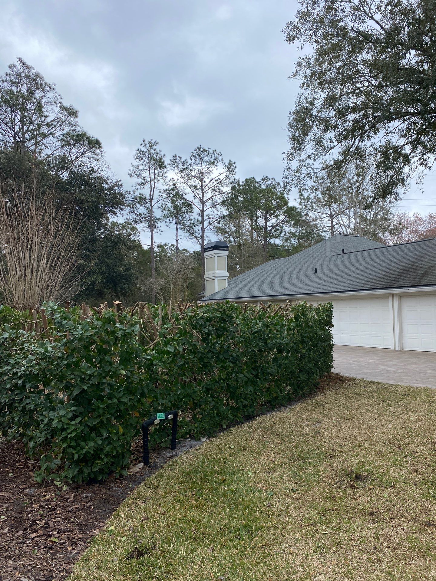 Residential | Hedge Trimming by ProGreen Services
