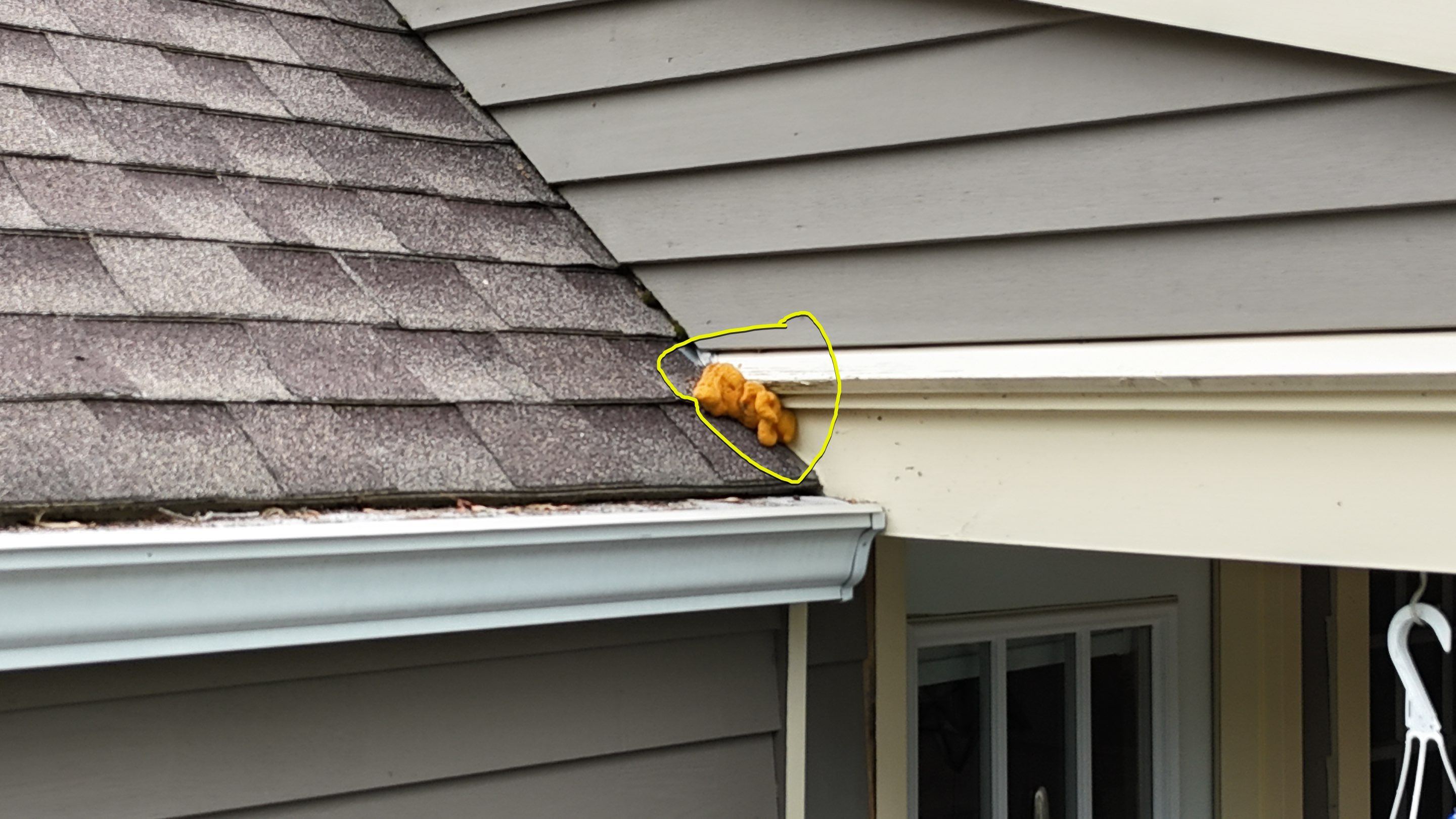 Roofing | Maynard  by Mighty Dog Roofing of Greater Middlesex County