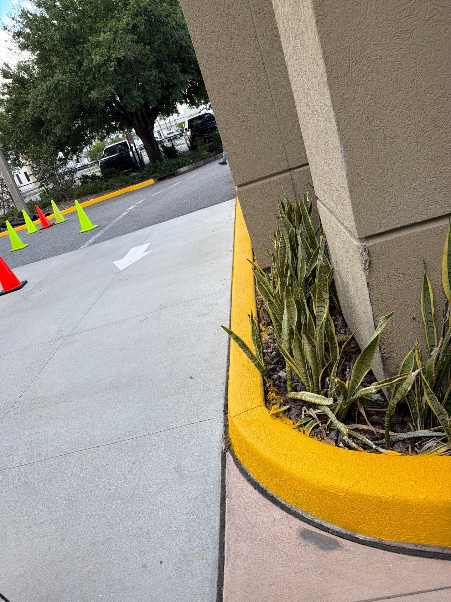 Sealcoating, Line Striping, Truncated Dome Installation - HCA Florida Fawcett Hospital by Everline Coatings & Services - Southwest FL