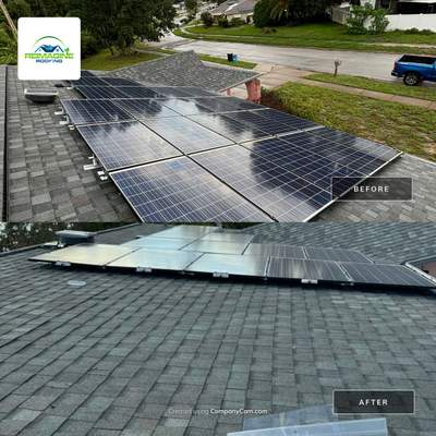 Silver Birch Shingles
