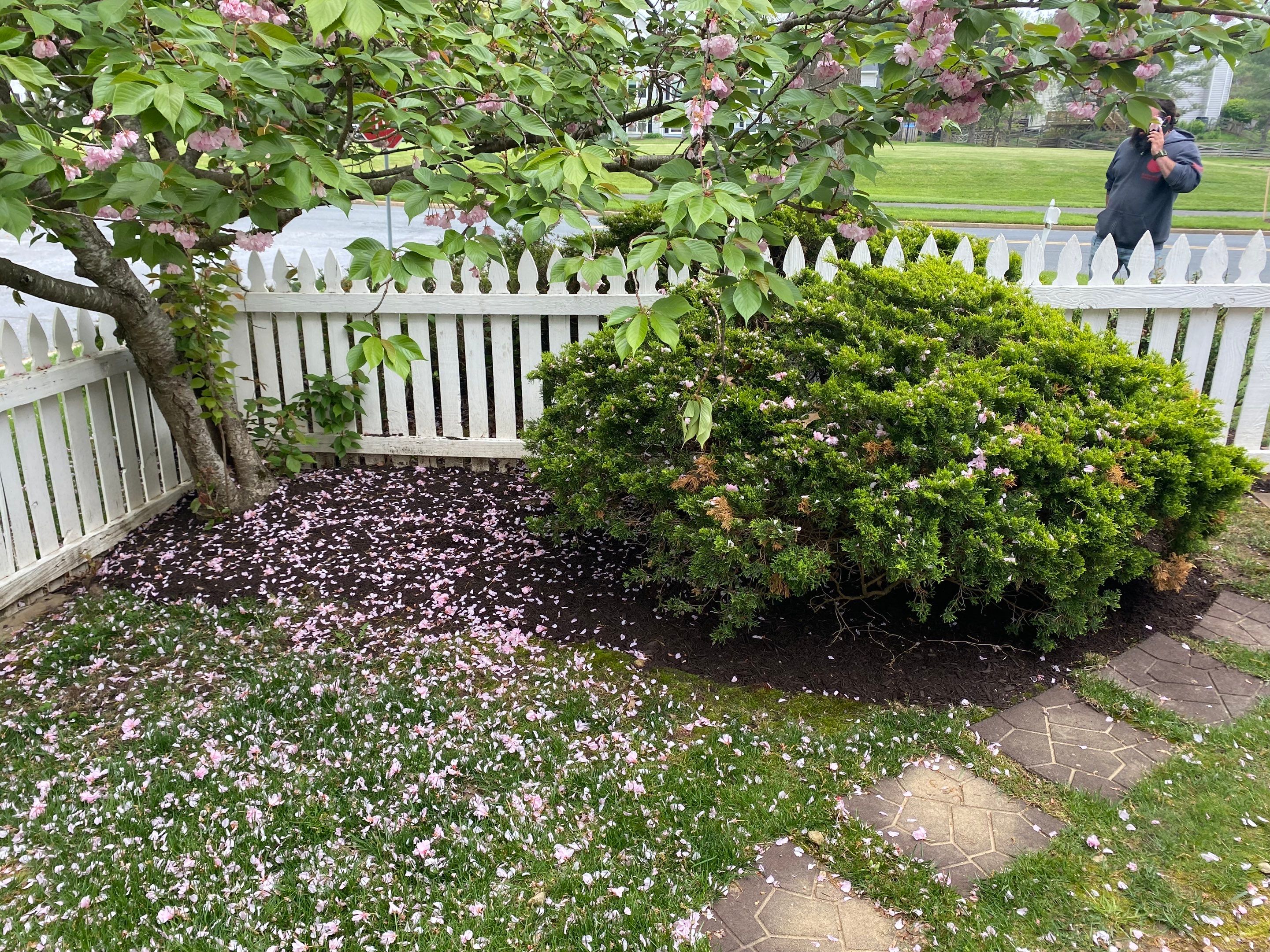 Landscape Design and Cleanup by The Smet Companies, LLC