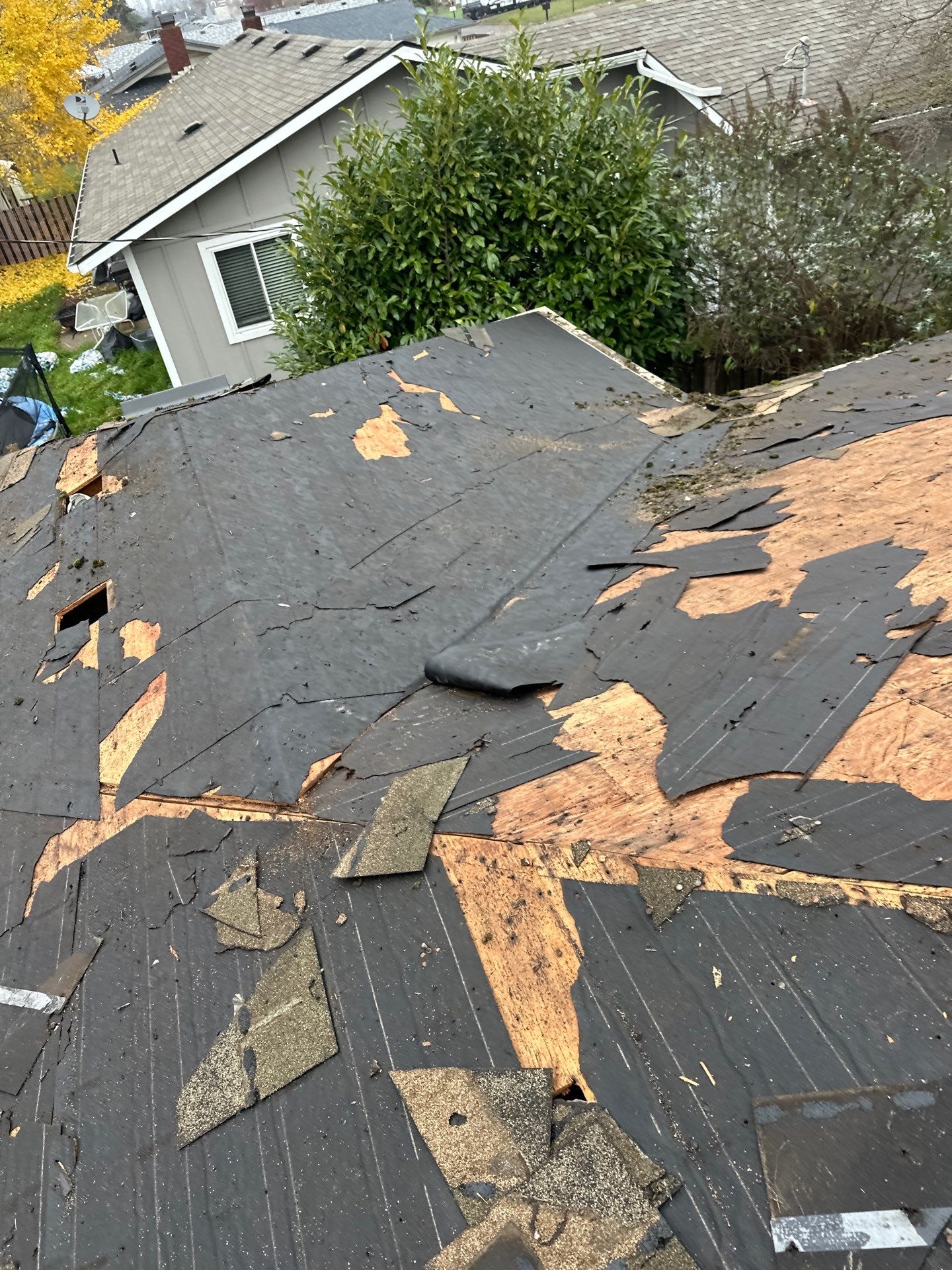 Residential Roofing Installation using IKO Dynasty (Color: Driftshake) by Orezona Building & Roofing Company, Inc.