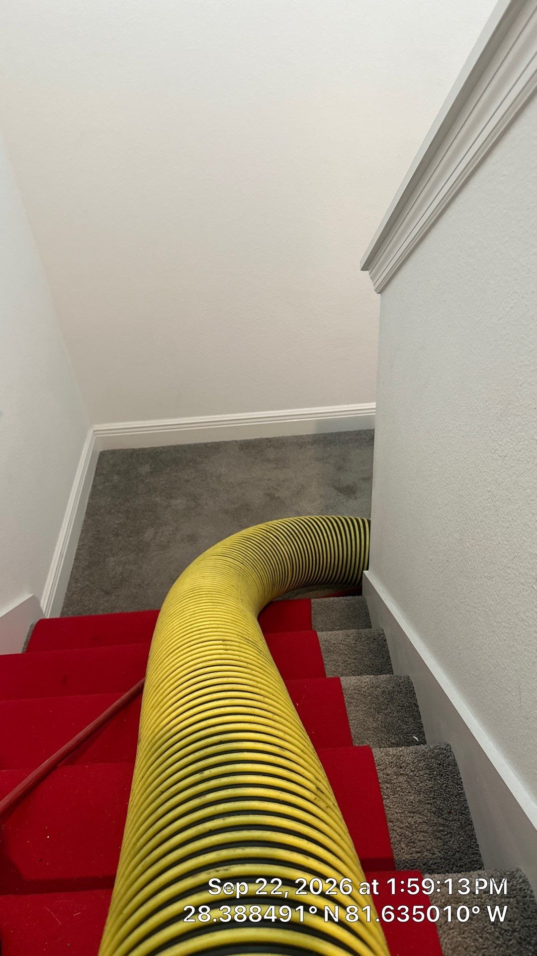 Air Duct & Air Handler Cleaning in Winter Garden by Hygienic Air, Inc