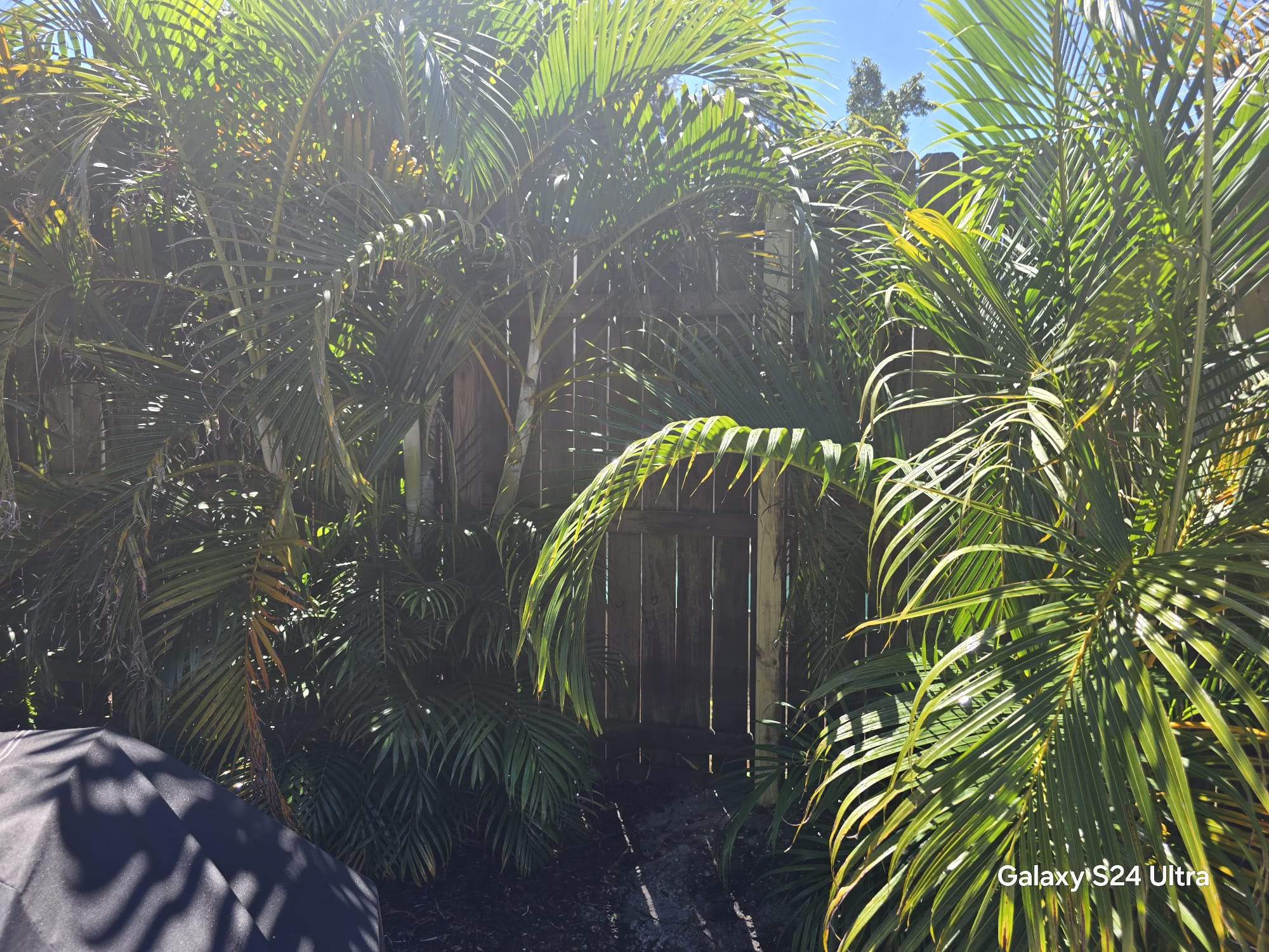 Residential Wood Privacy and Chain Link Fence Installation in Sarasota by True Fence LLC