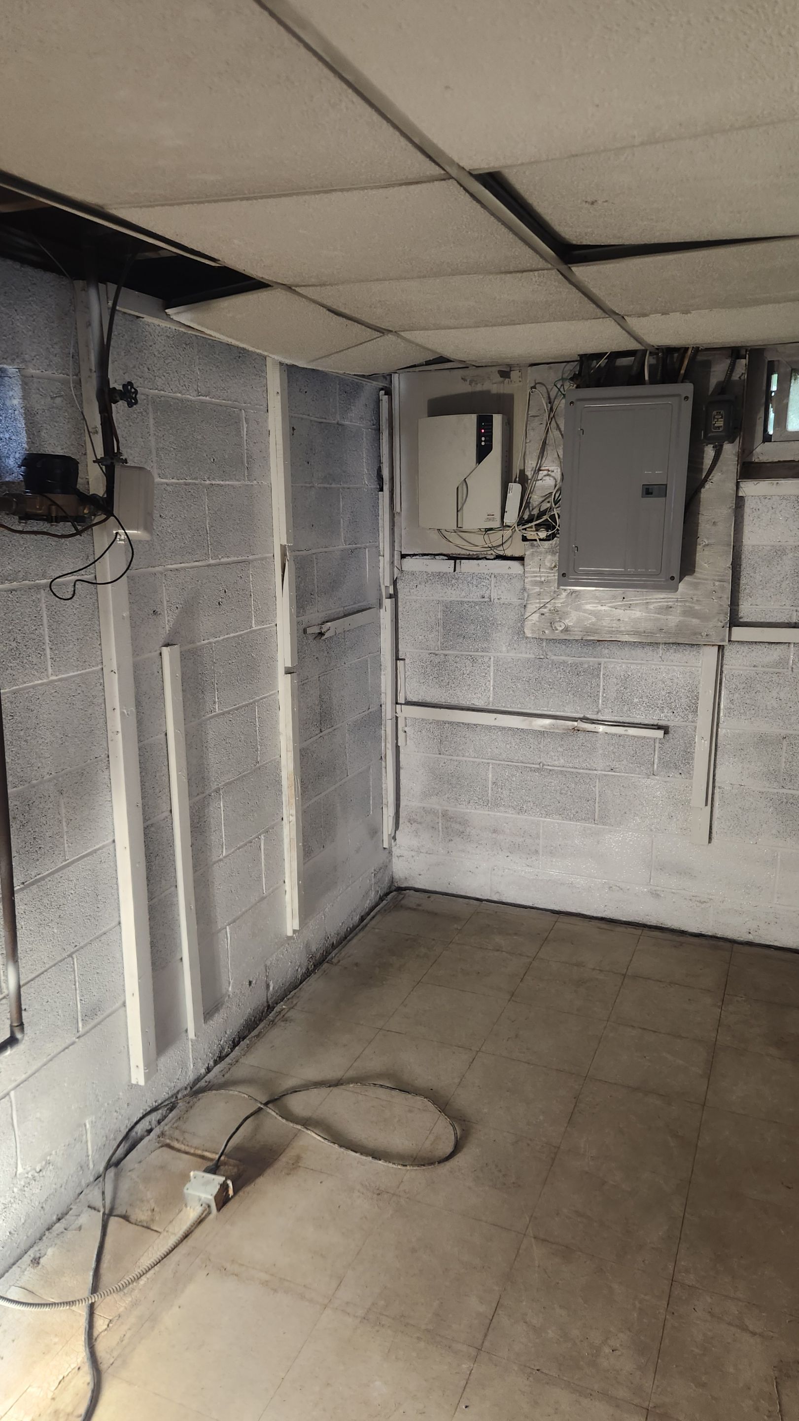 Interior French Drain & Mold Remediation Project in Manville, New Jersey by Pure Service Pro, LLC 