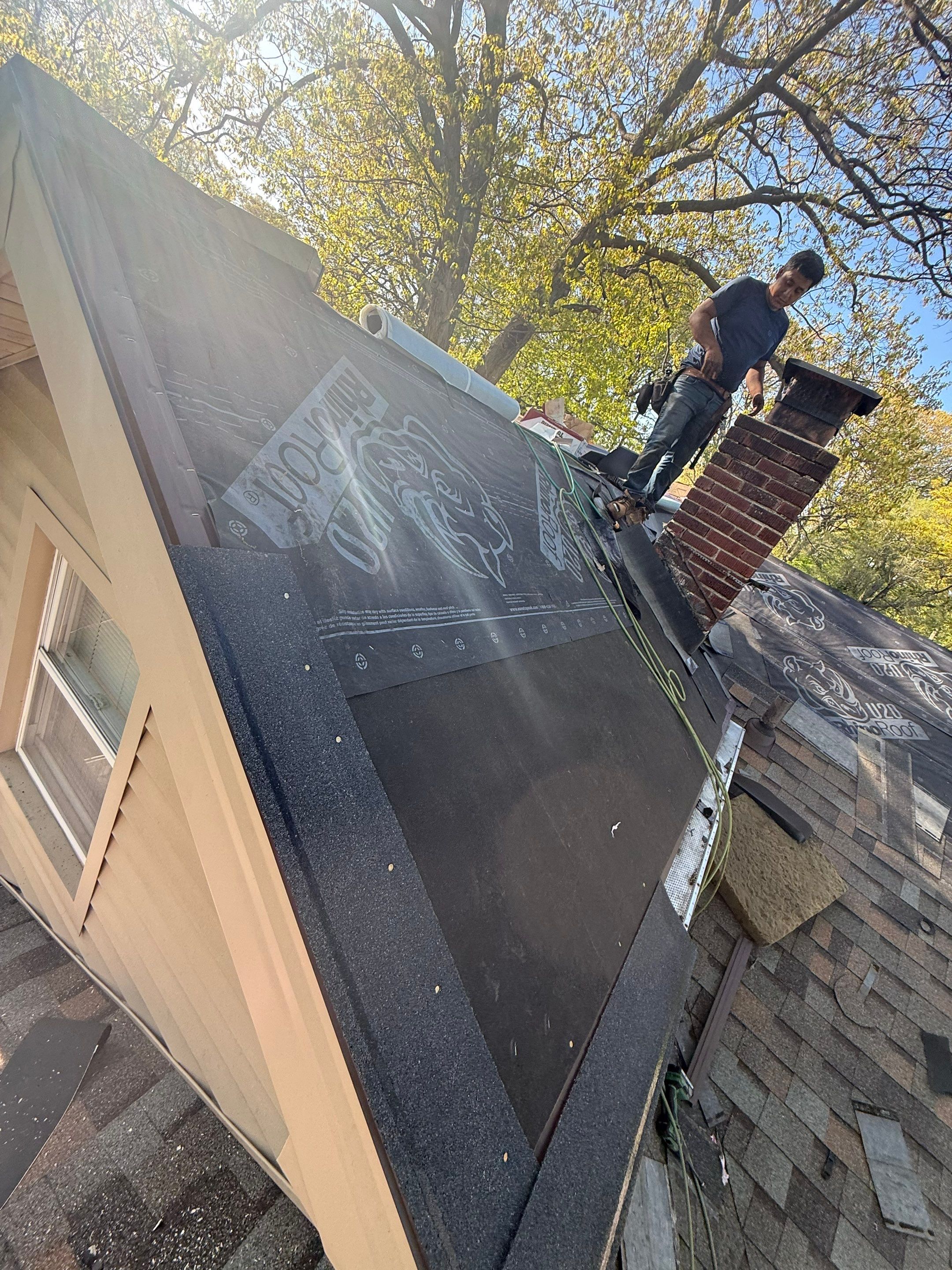 Project in Ferndale by Eave Roofing