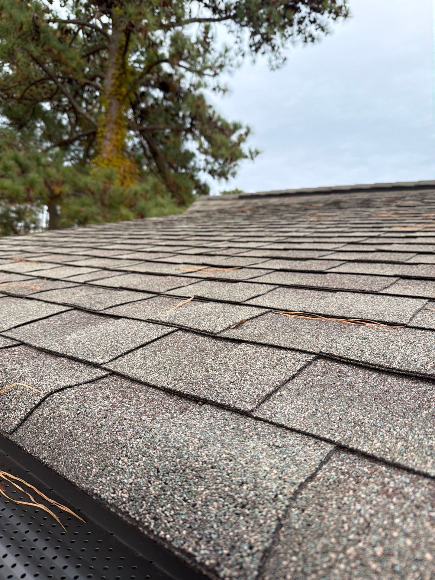 Waterfront Roof Replacement in White Stone, VA by Cade Construction