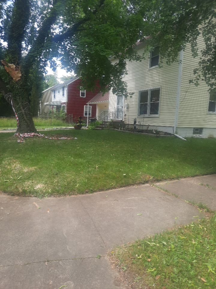 Storm Damaged Tree Removal  using Tree Removal by Mike Jones & Sons Tree Service LLC 