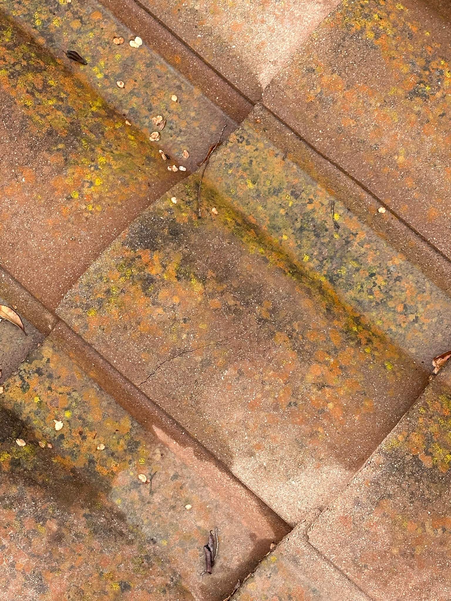 Clogged gutters at this Irvine home in Woodbury by Property Cleaning Experts, LLC