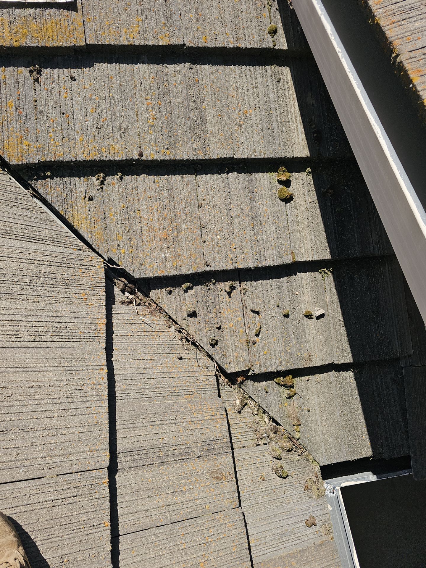 Wren Ct Merced CA by Econo Roofing