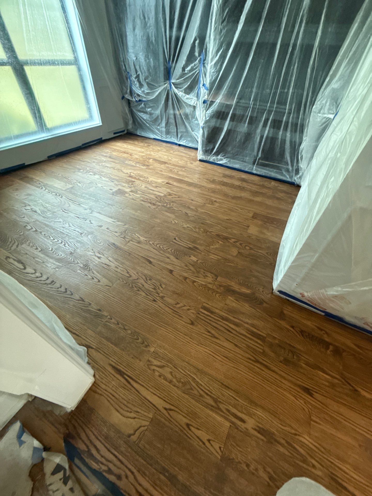 The Napolitano Family by SophAlx LLC