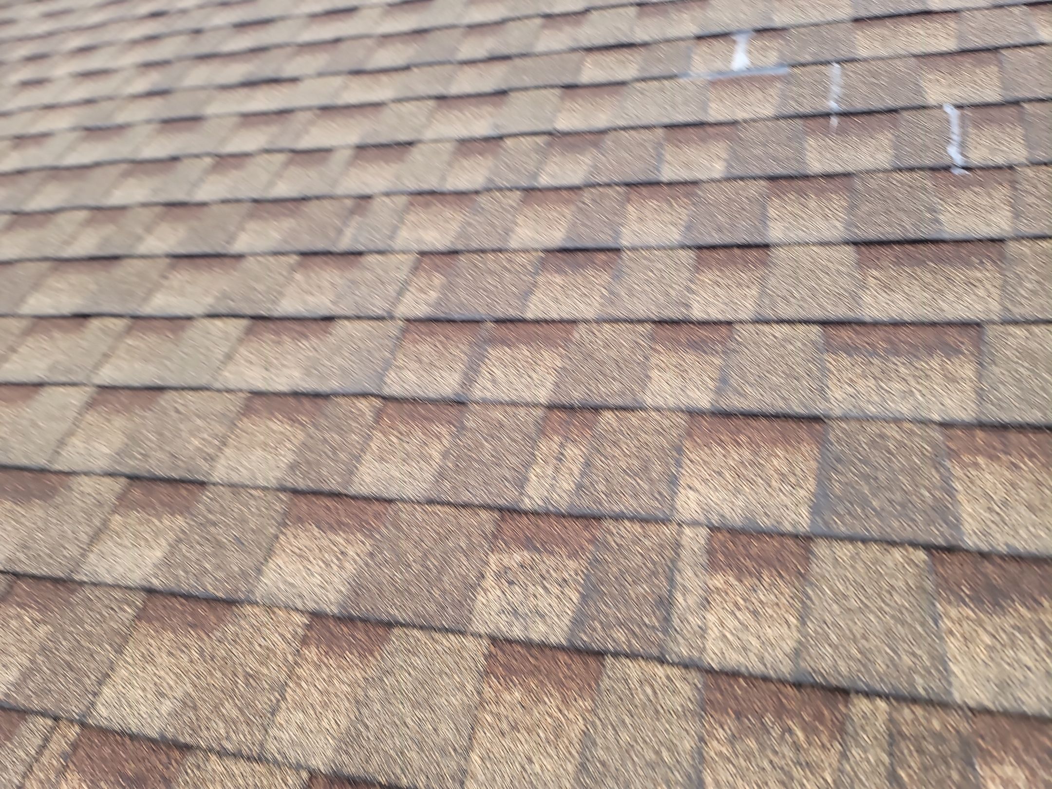 Atlas Pinnacle, Color: Morning Harvest, Drip Edge: Royal Brown by Eagle Eye Roofing