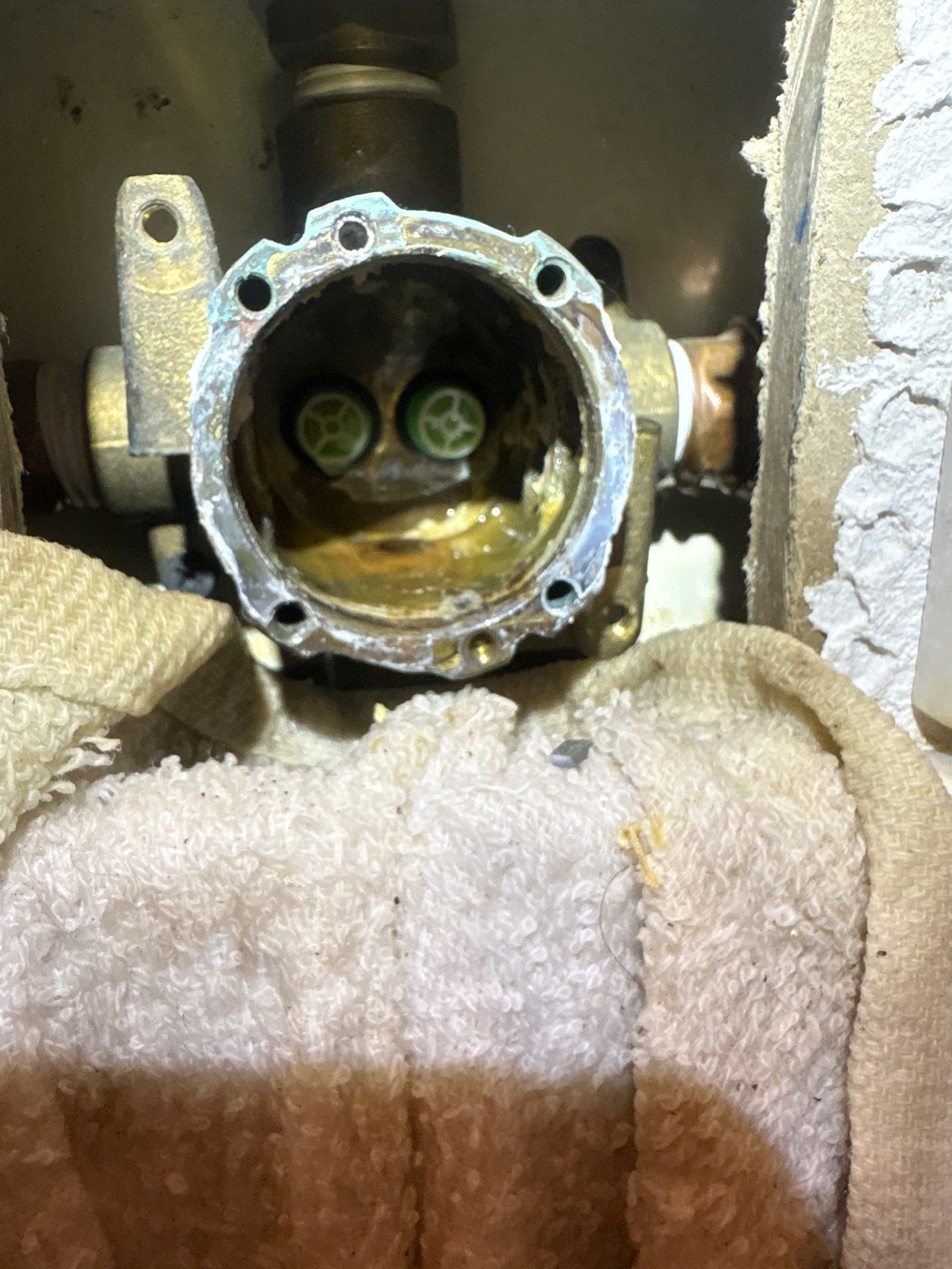 Shower Valve Replacement and Plumbing Hardware Update in Tampa by All Hours Plumber