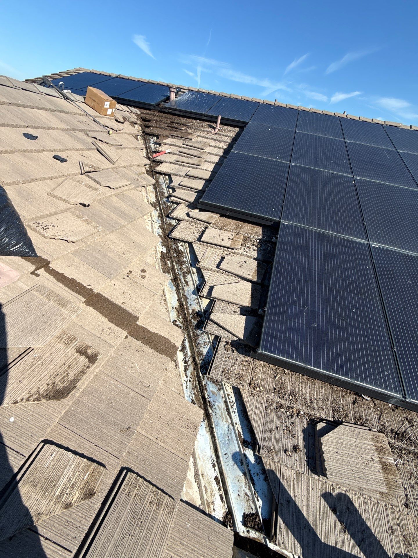 Project in Brentwood by Top Elevation