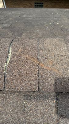 Turtle Shell gutter protection installation in Naperville, IL 60563, photograph 22