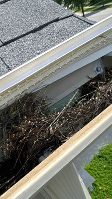 Turtle Shell gutter protection installation in Plainfield, IL 60585, photograph 3