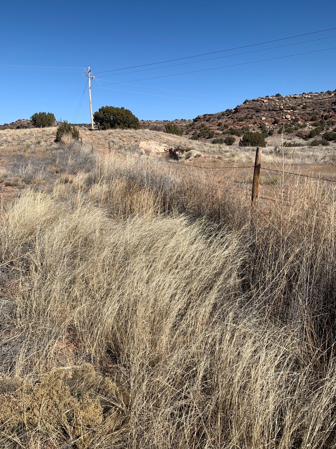 Light Commercial using 6' Pro-panel by Valley Fence Company