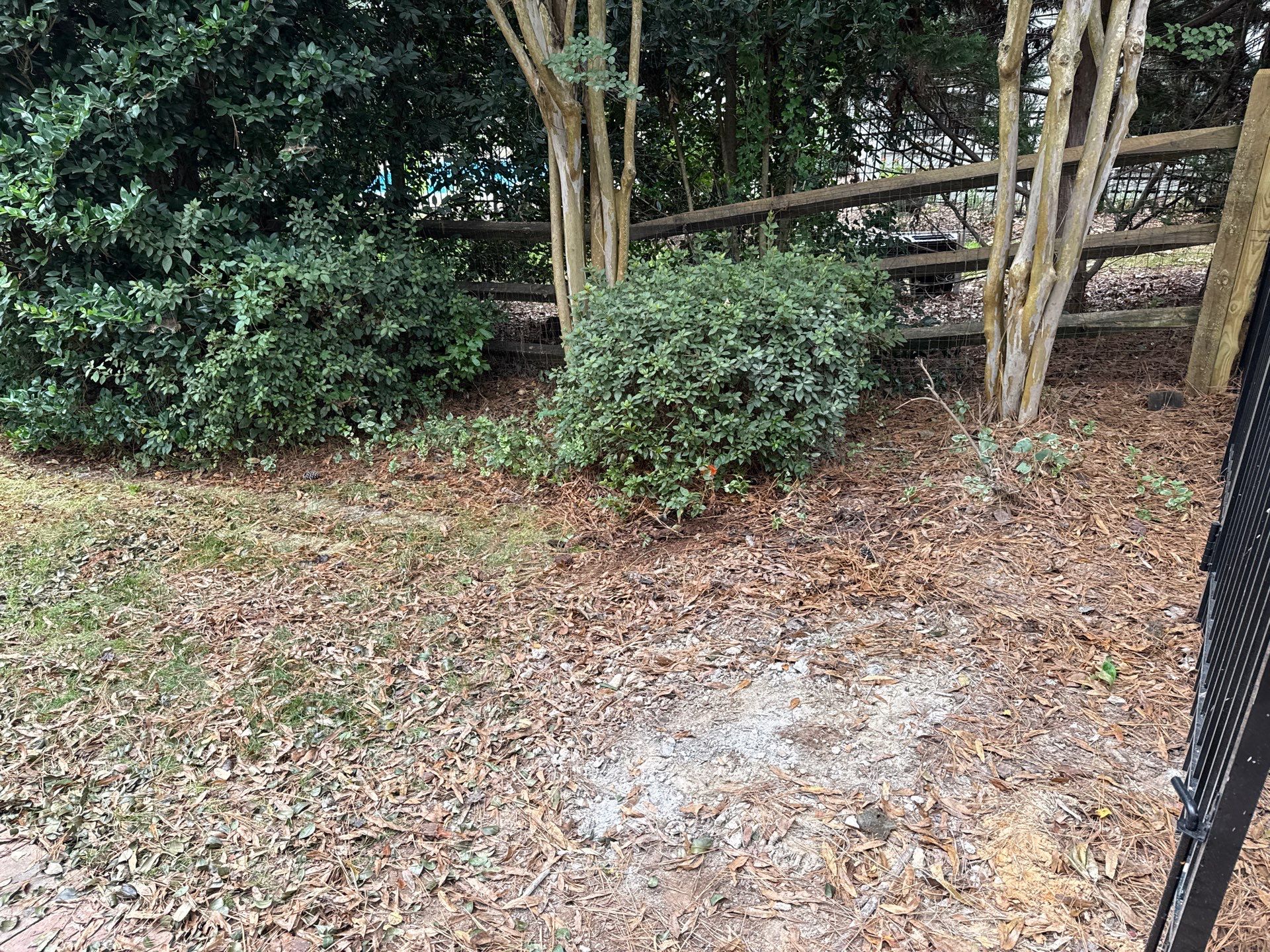 Project in Charlotte by Badger Hauling