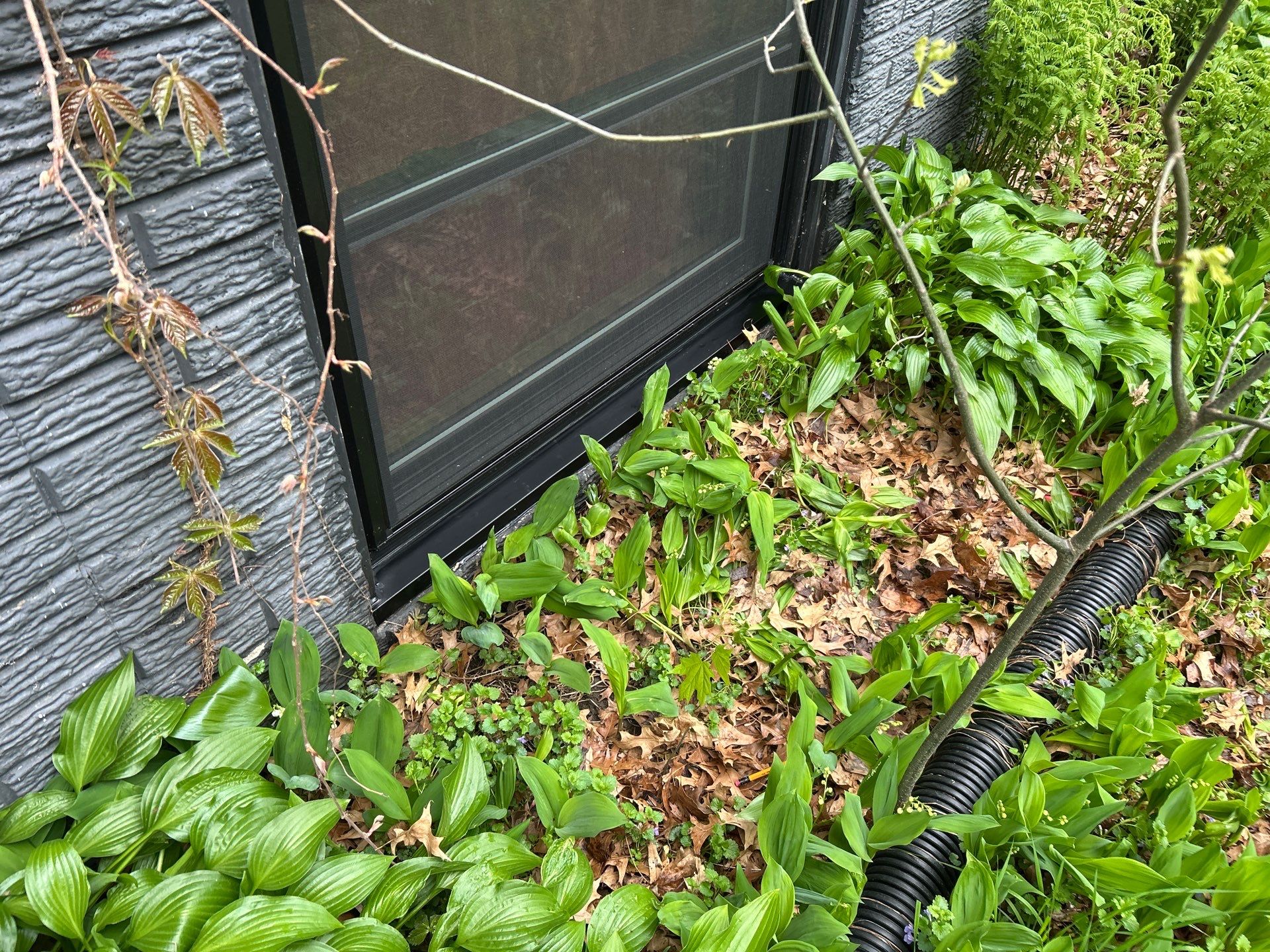 Window installation  by United Windows and Siding LLC