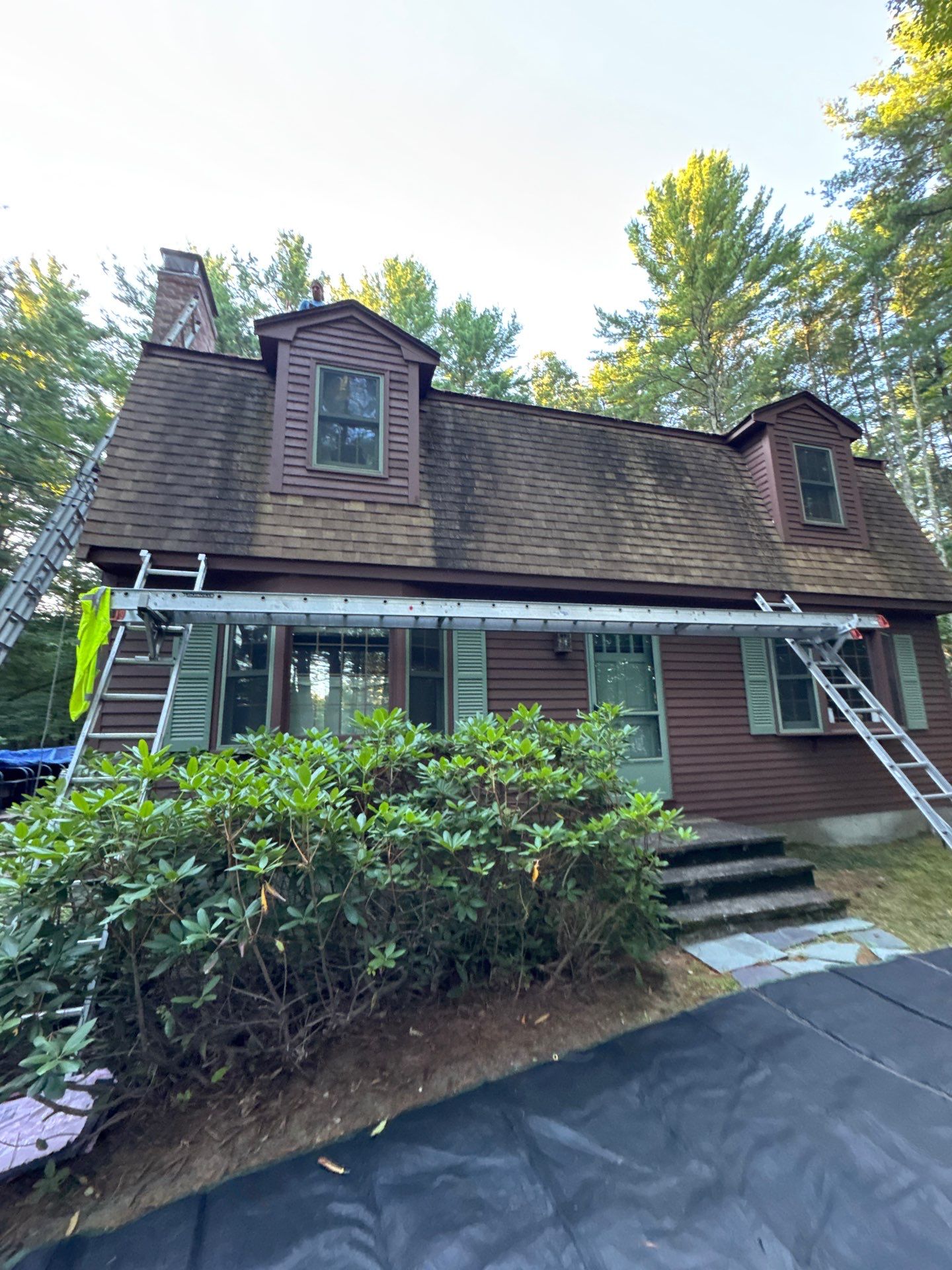 Roof Replacement – Rosalie Brown, MA by Mighty Dog Roofing of Greater Middlesex County