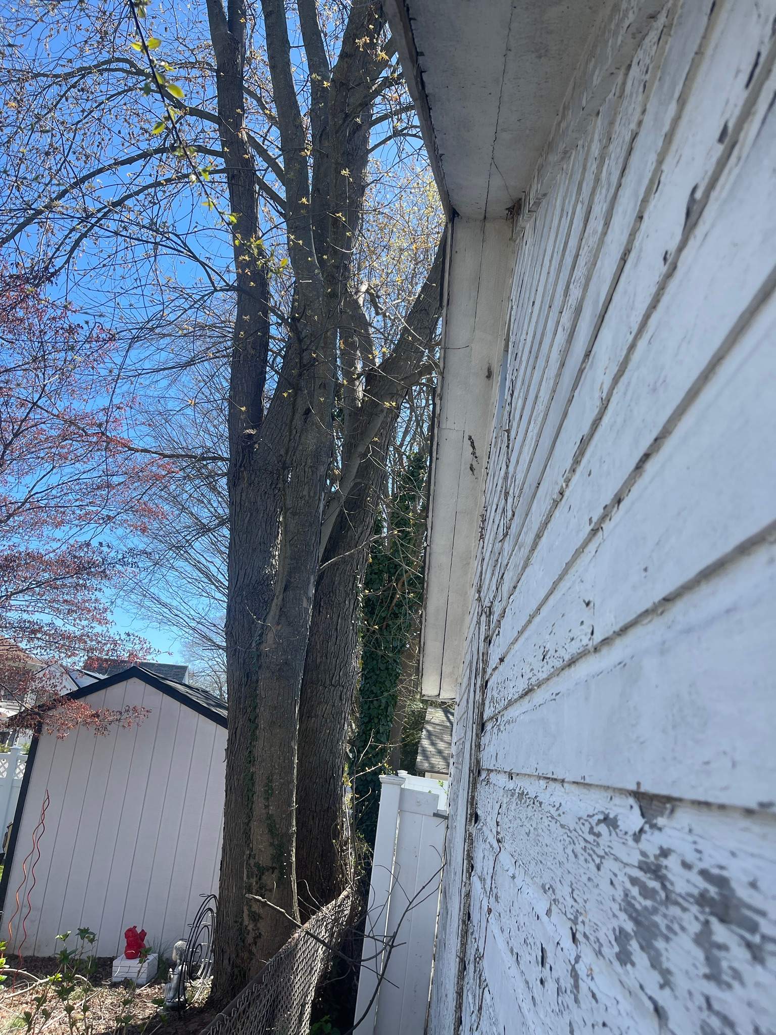 Siding Installation using CertainTeed Mainstreet Vinyl Siding - Savannah Wicker by A Plus Exterior