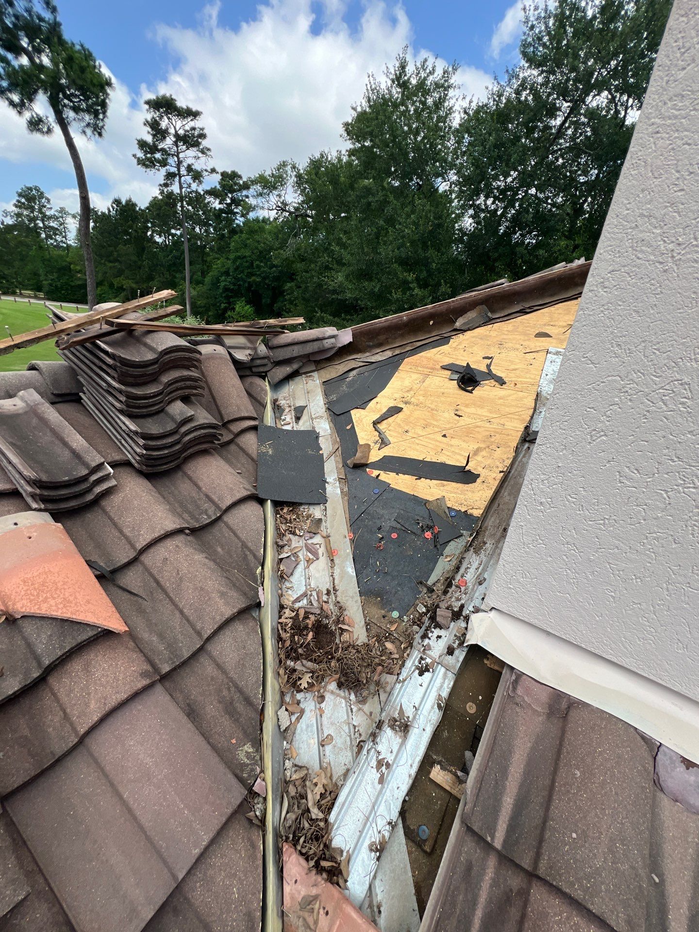Roof Repair Spring by Roof Repair Company
