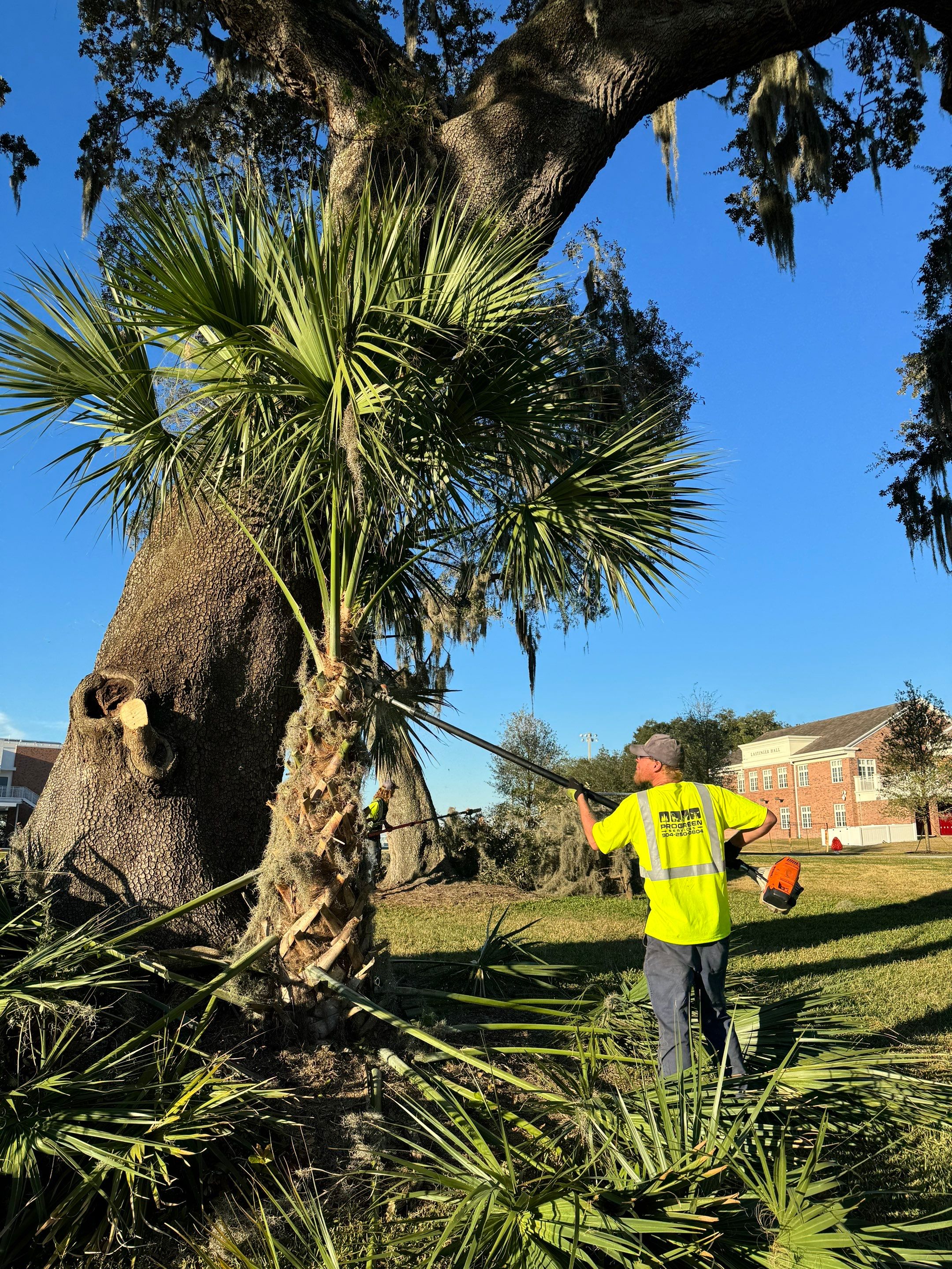 Volunteer Work | Episcopal High School of Jacksonville by ProGreen Services