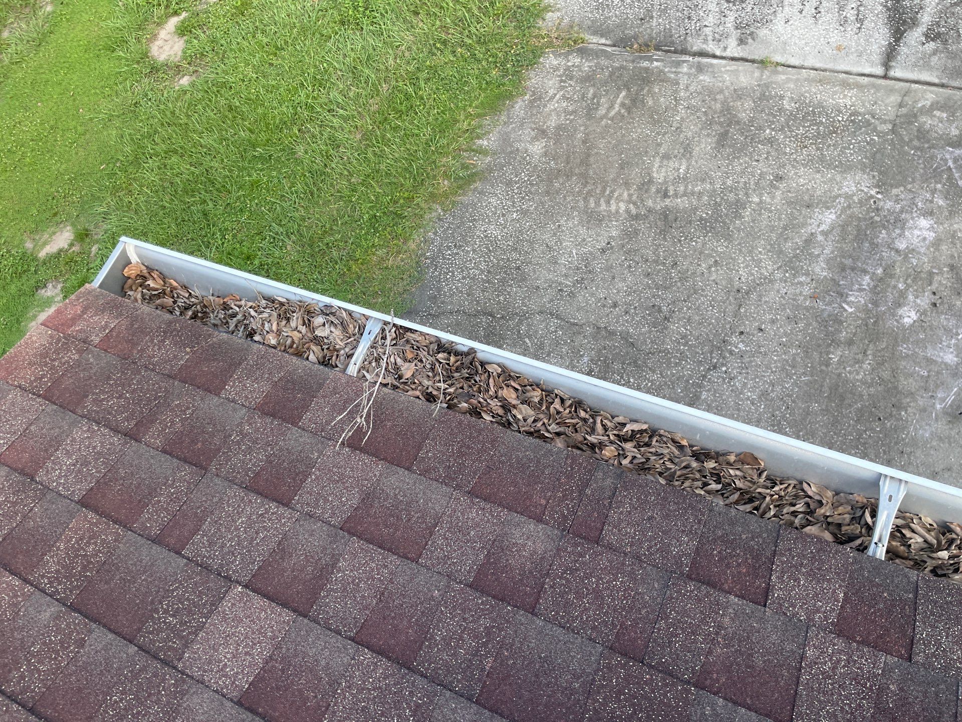 Gutter Cleaning in Brandon FL by Gutter Professors