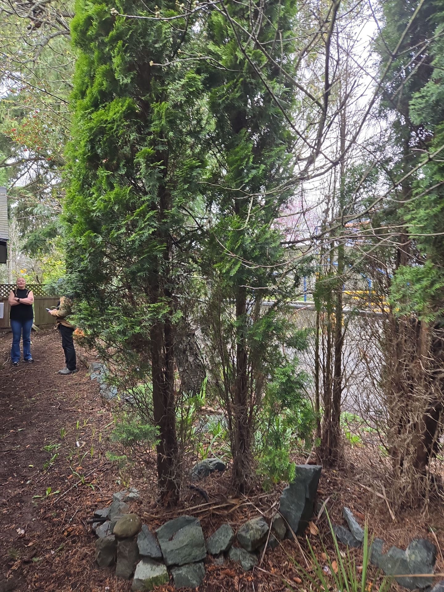 Complete backyard transformation by Habanero Garden and Exterior Care