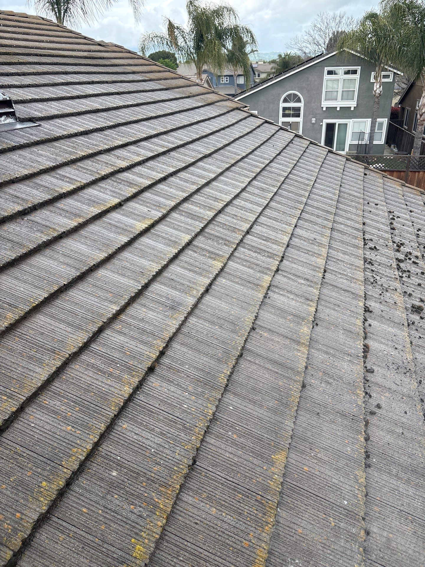 Moss Removal by Top Elevation