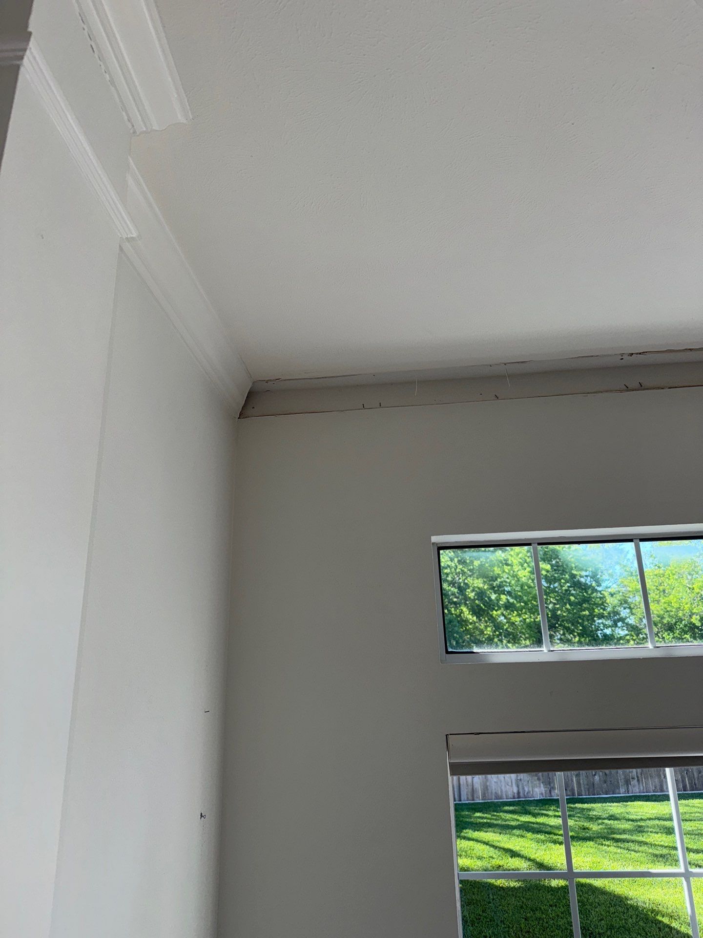 Mold Remediation Job in Richmond by Team Home Solutions