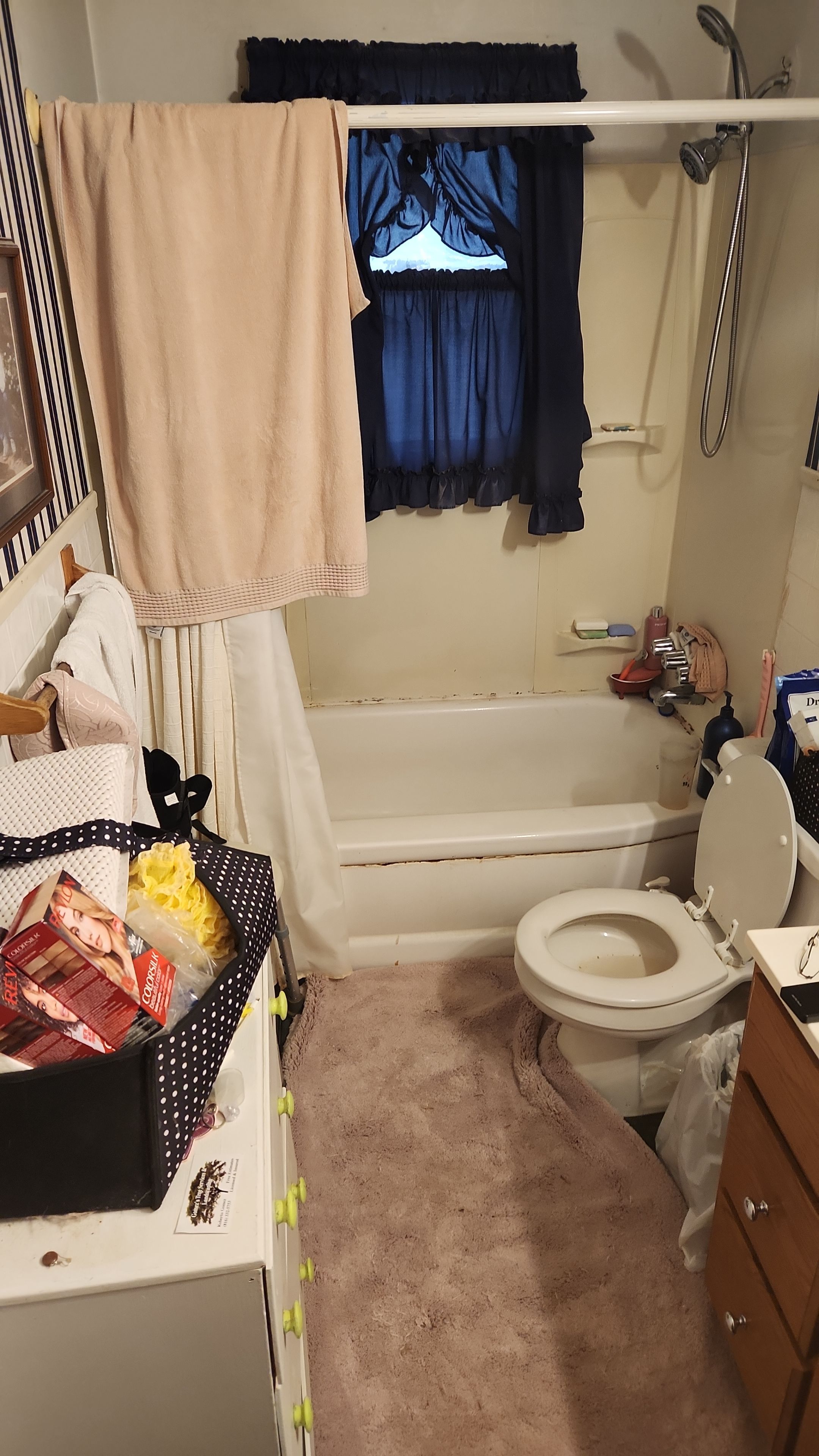 Bathroom Remodel by The Shower Company